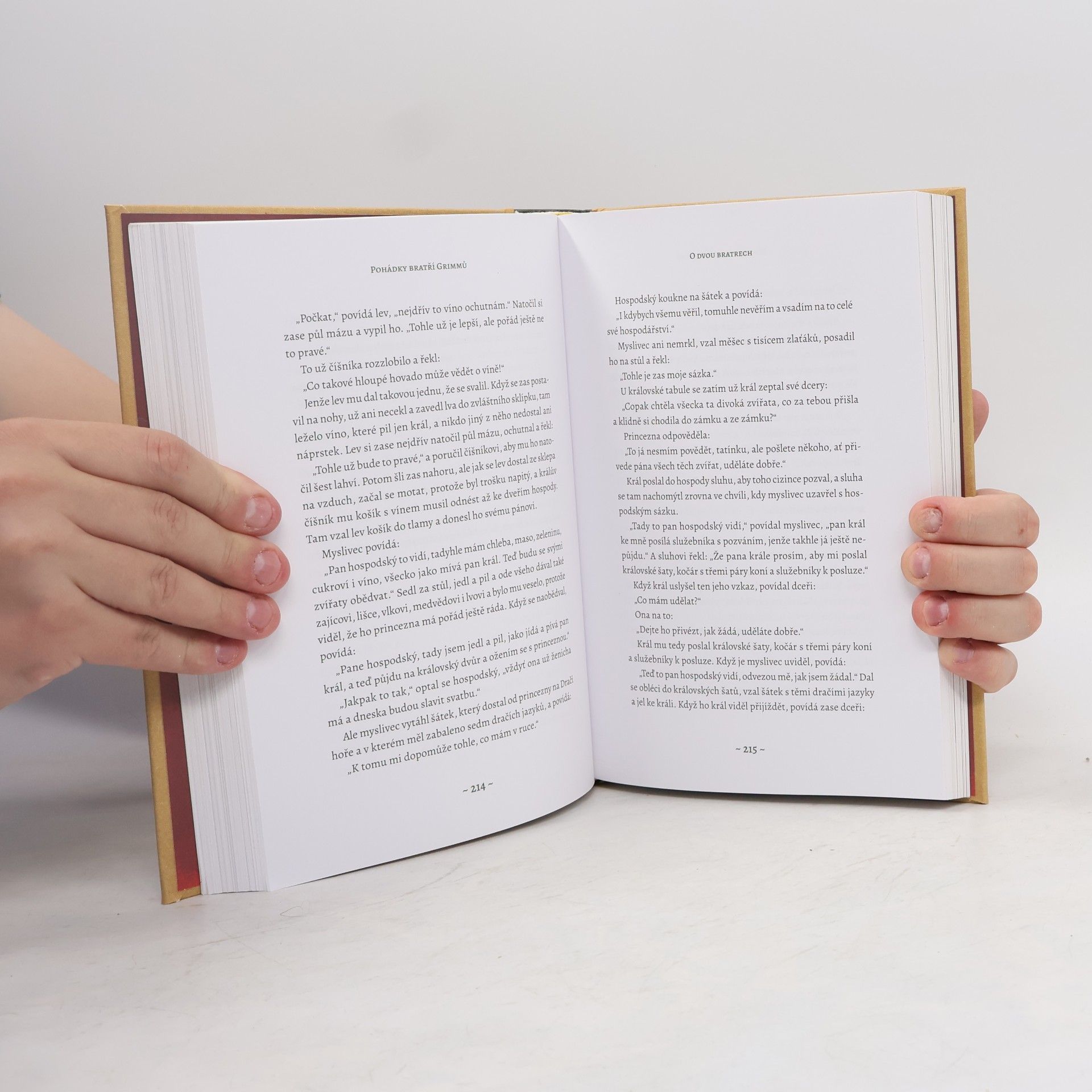 Jacob Grimm Pohádky bratří Grimmů