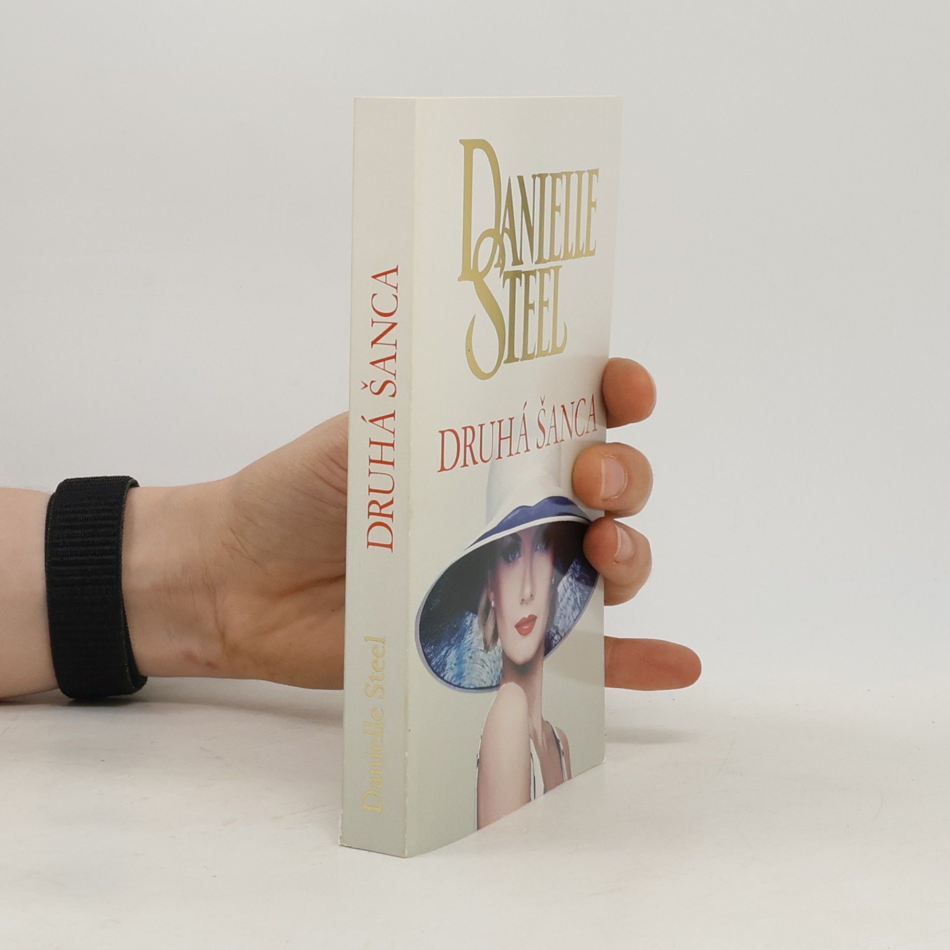 Danielle Steel Druhá šanca
