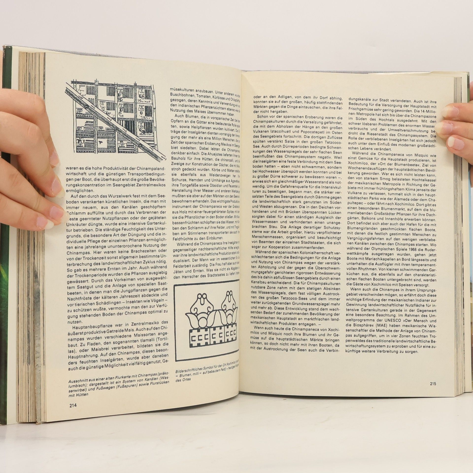 Autorenkollektiv Urania Universum 29