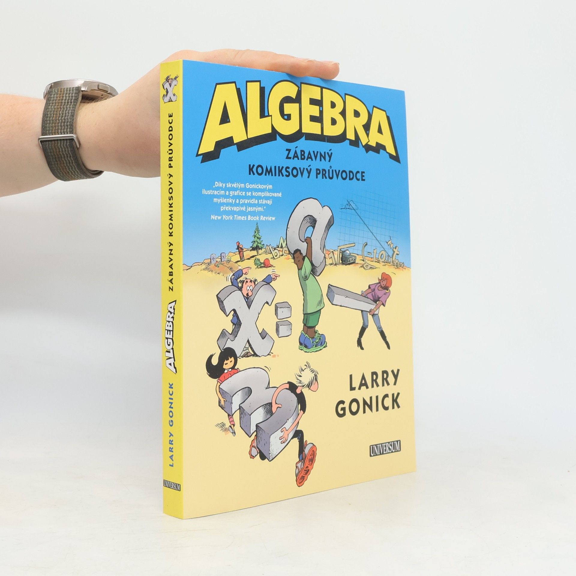 Larry Gonick Algebra. Zábavný komiksový průvodce