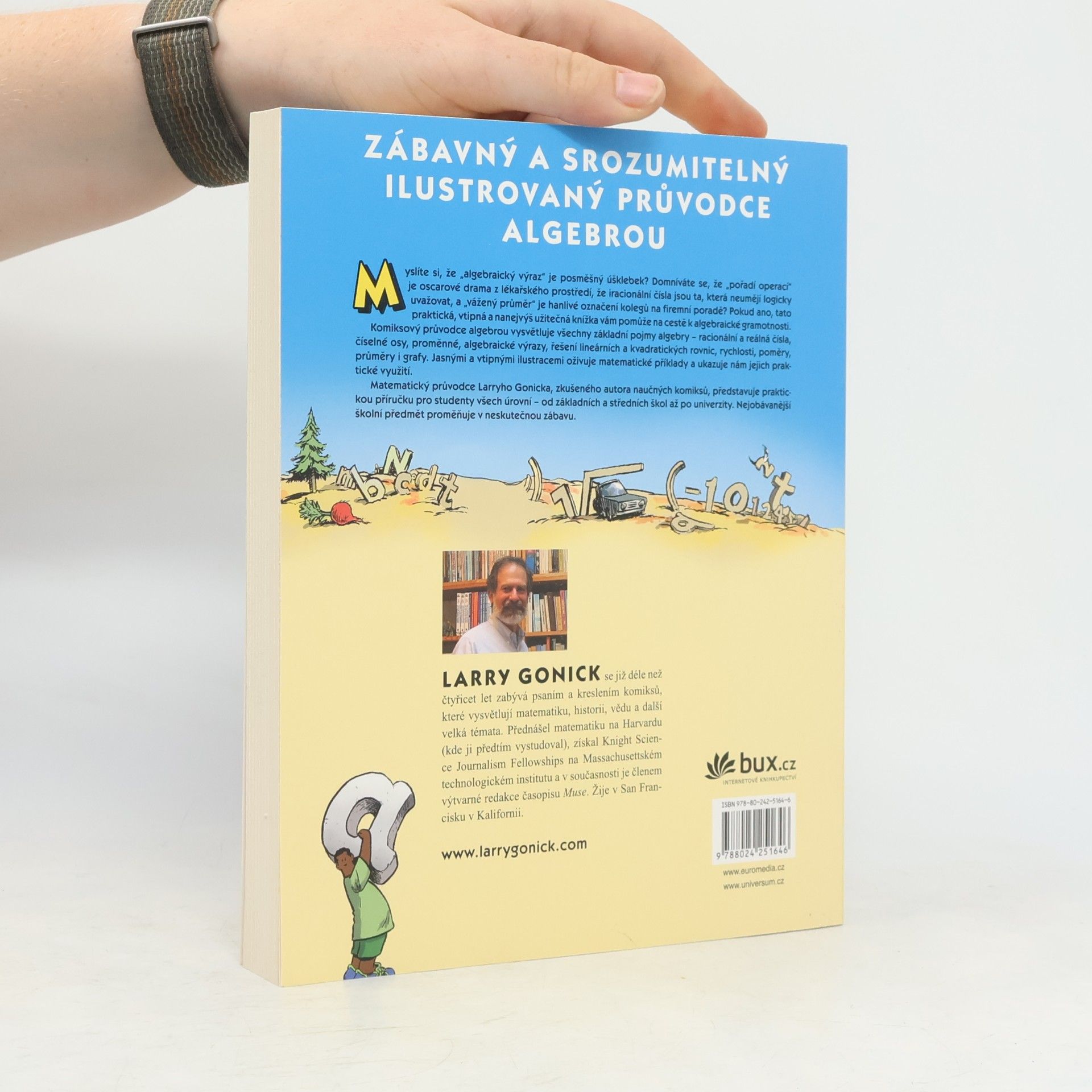 Larry Gonick Algebra. Zábavný komiksový průvodce