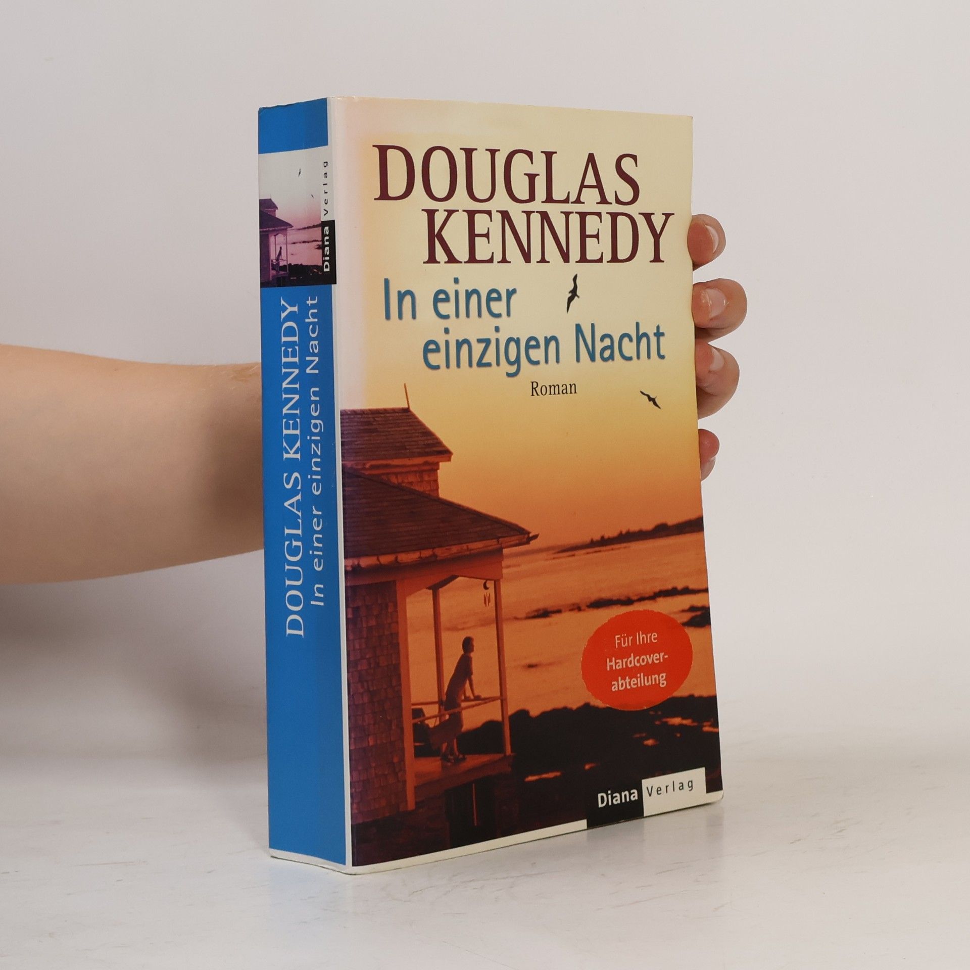 Douglas Kennedy In einer einzigen Nacht