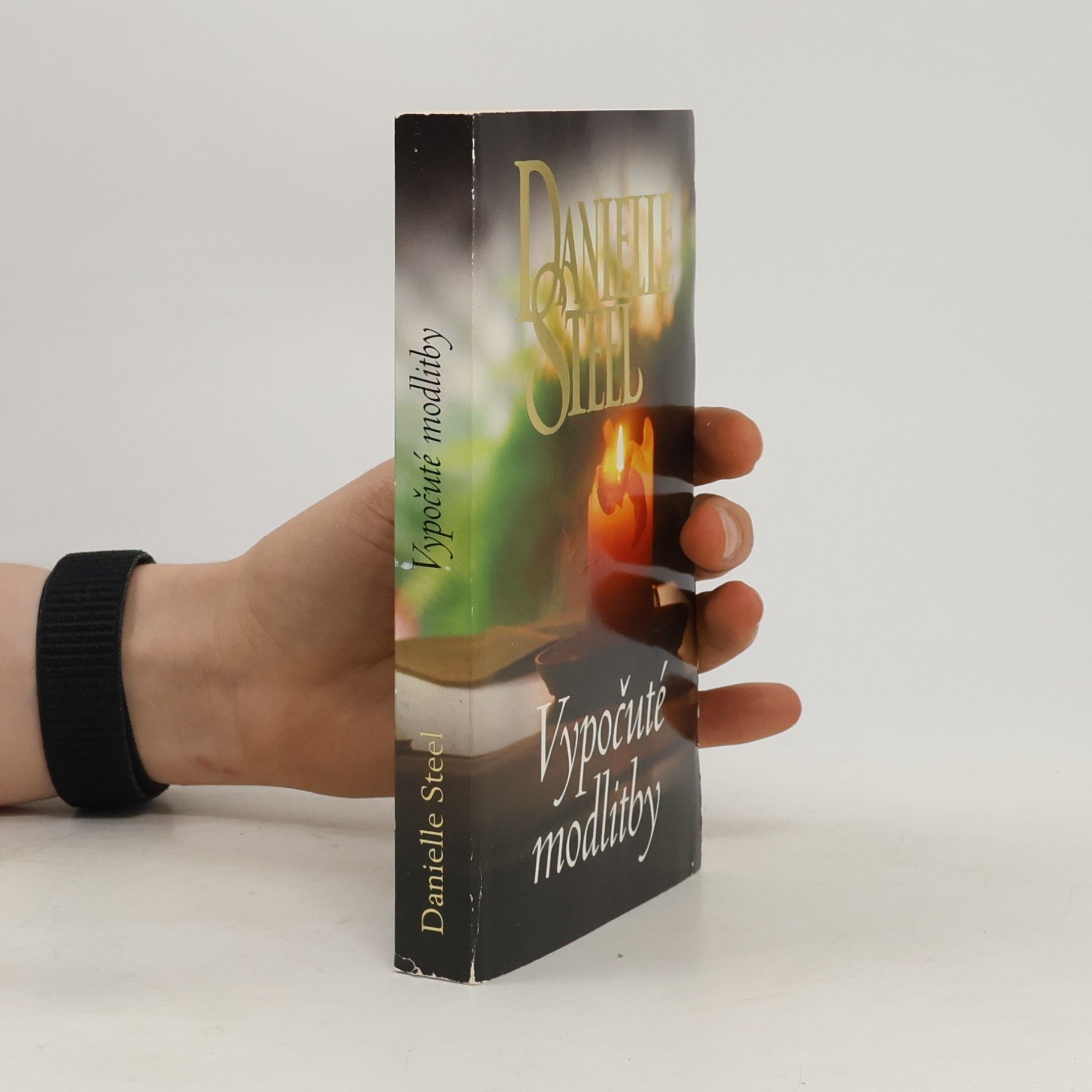 Danielle Steel Vypočuté modlitby