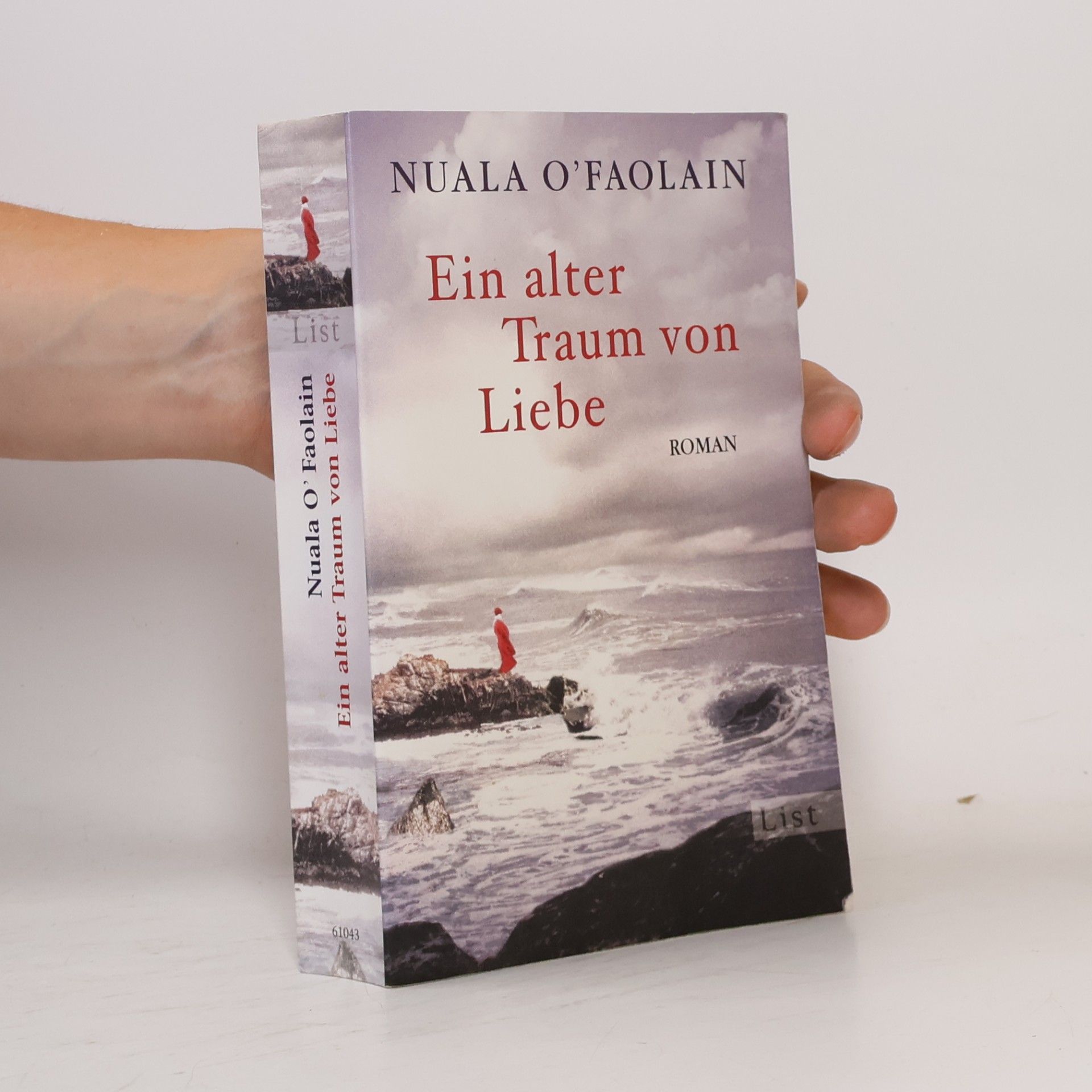 Nuala O. Faolain Ein alter Traum von Liebe