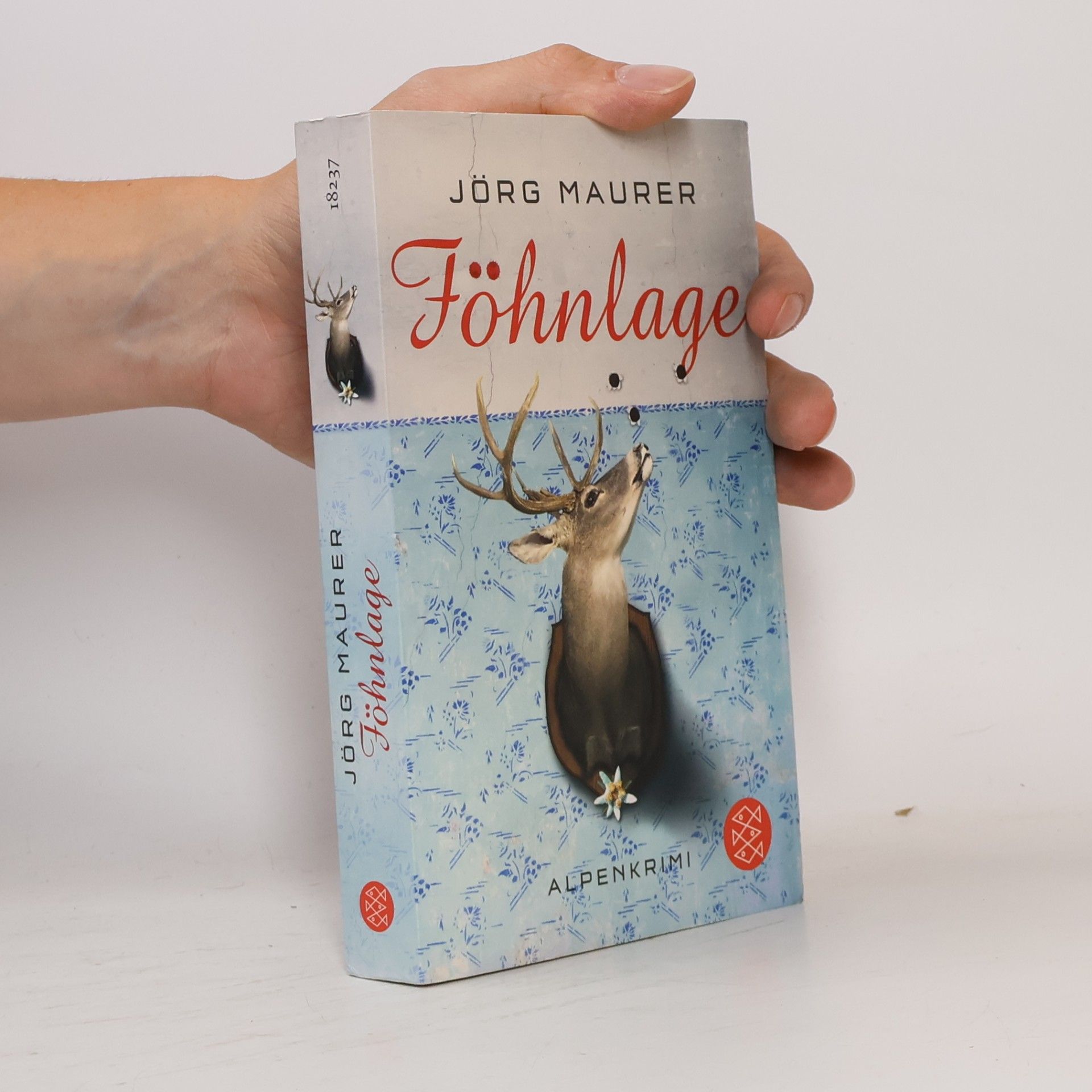 Jörg Maurer Föhnlage