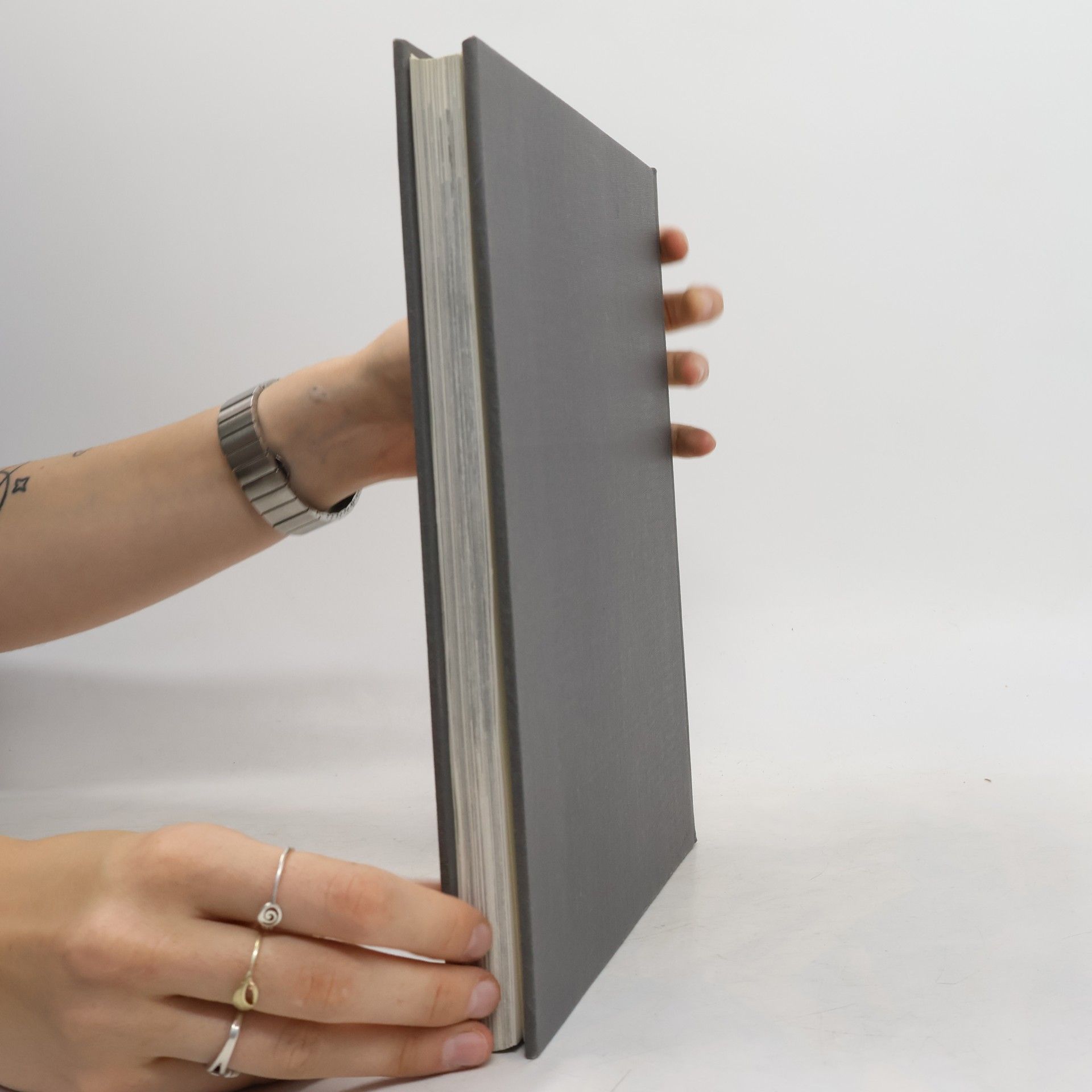 Various authors Das Buch der Stadt Lienz