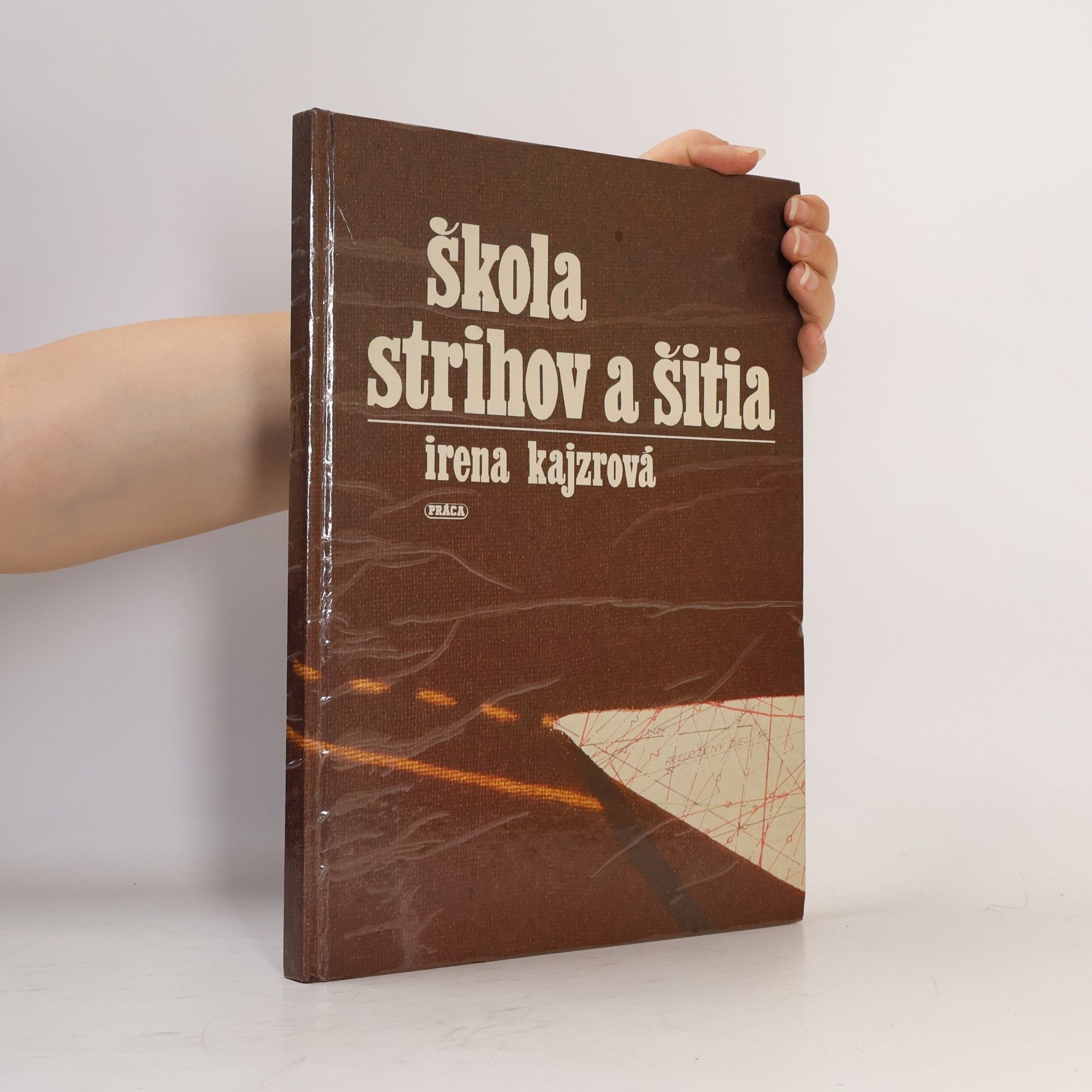 Škola striihov a šitia