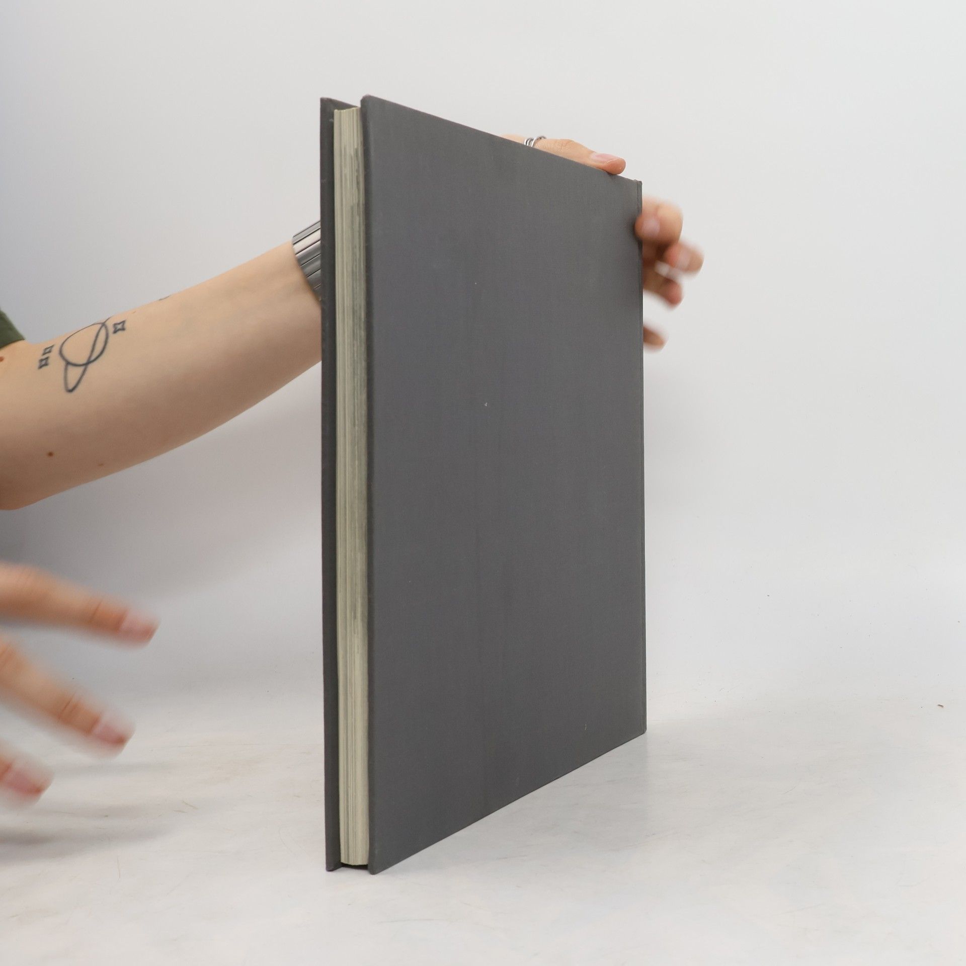 Various authors Das Buch der Stadt Lienz