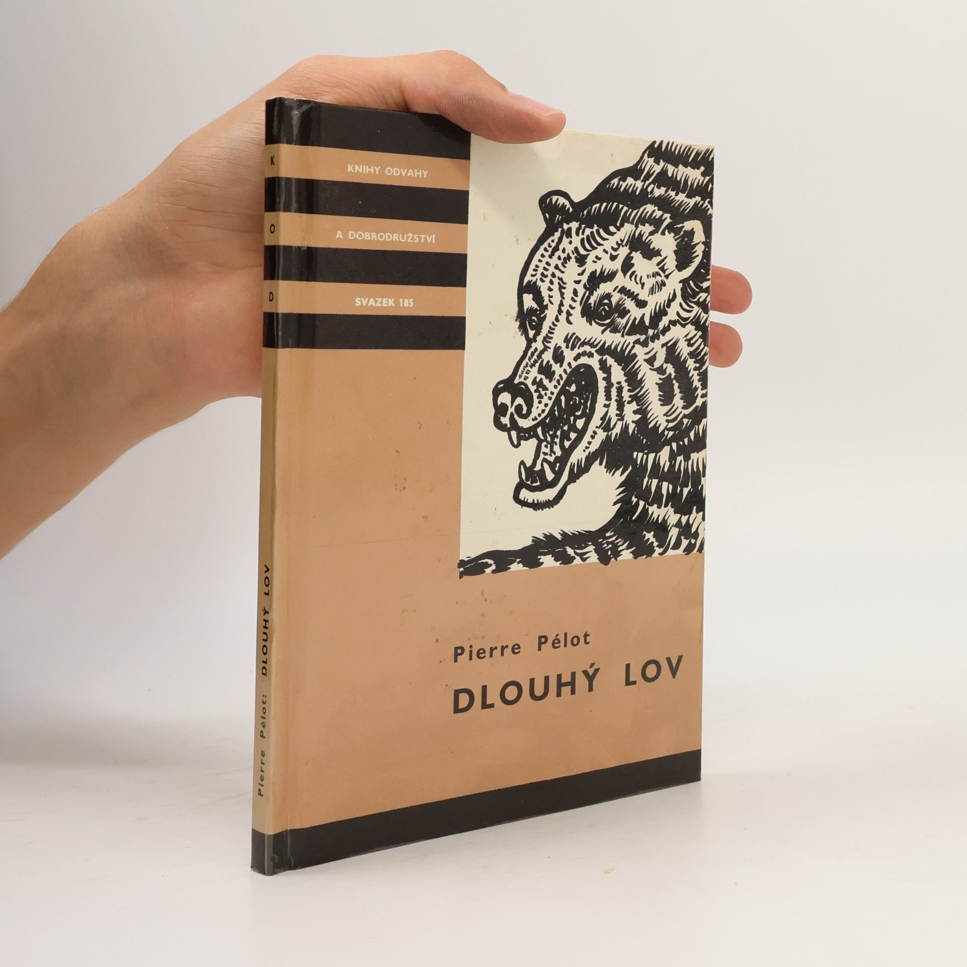Dlouhý lov