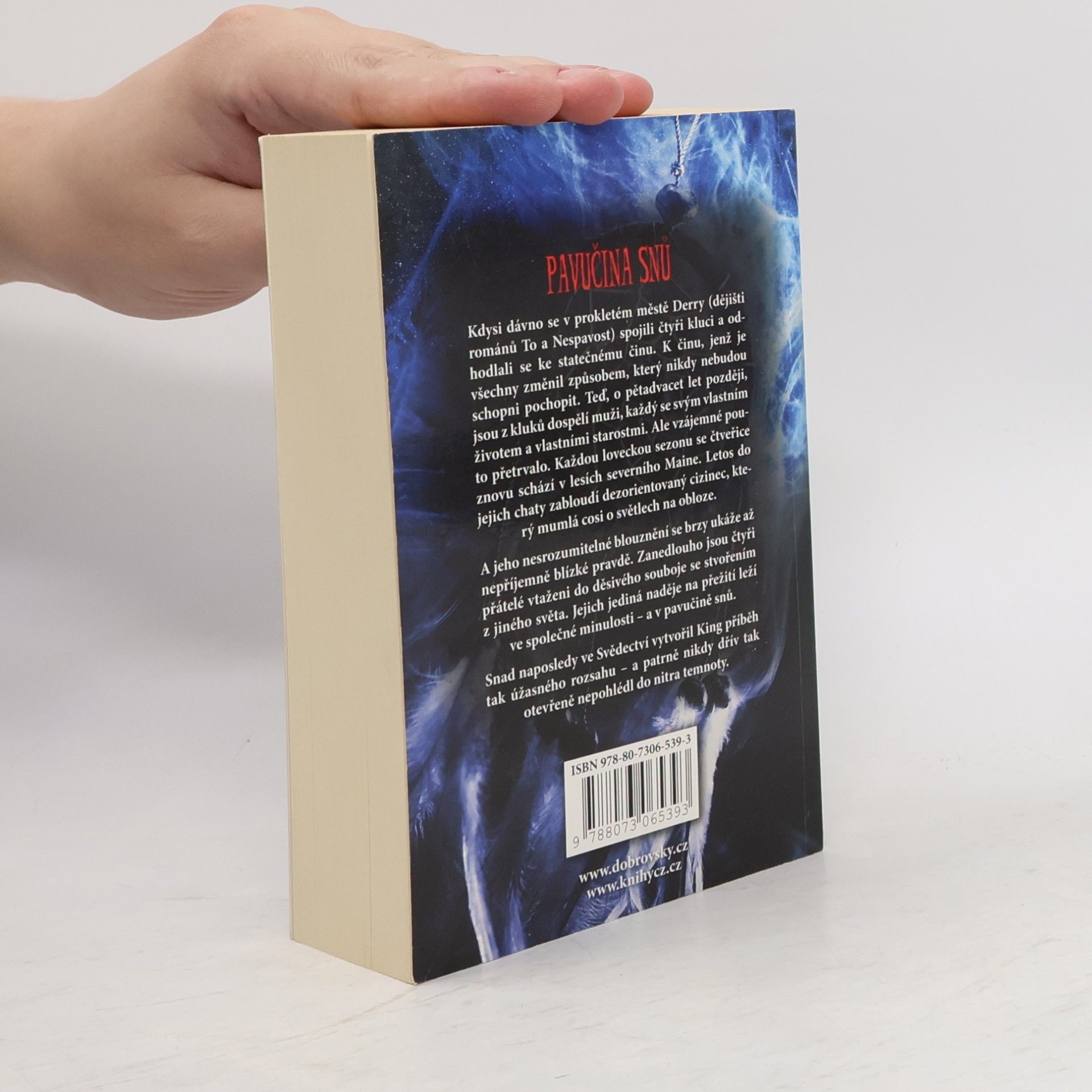 Stephen King Pavučina snů