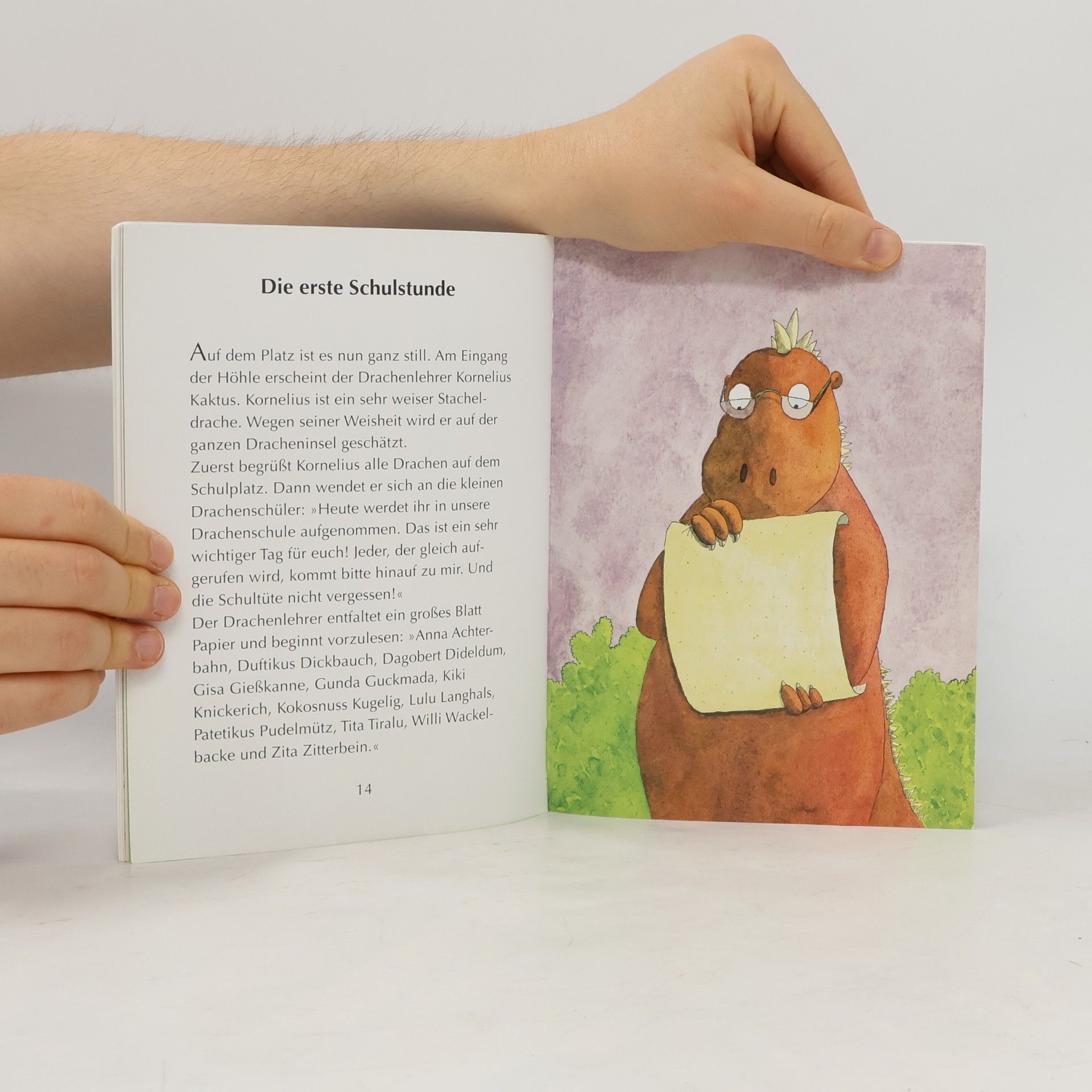 Ingo Seigner Der kleine Drache Kokosnuss kommt in die Schule