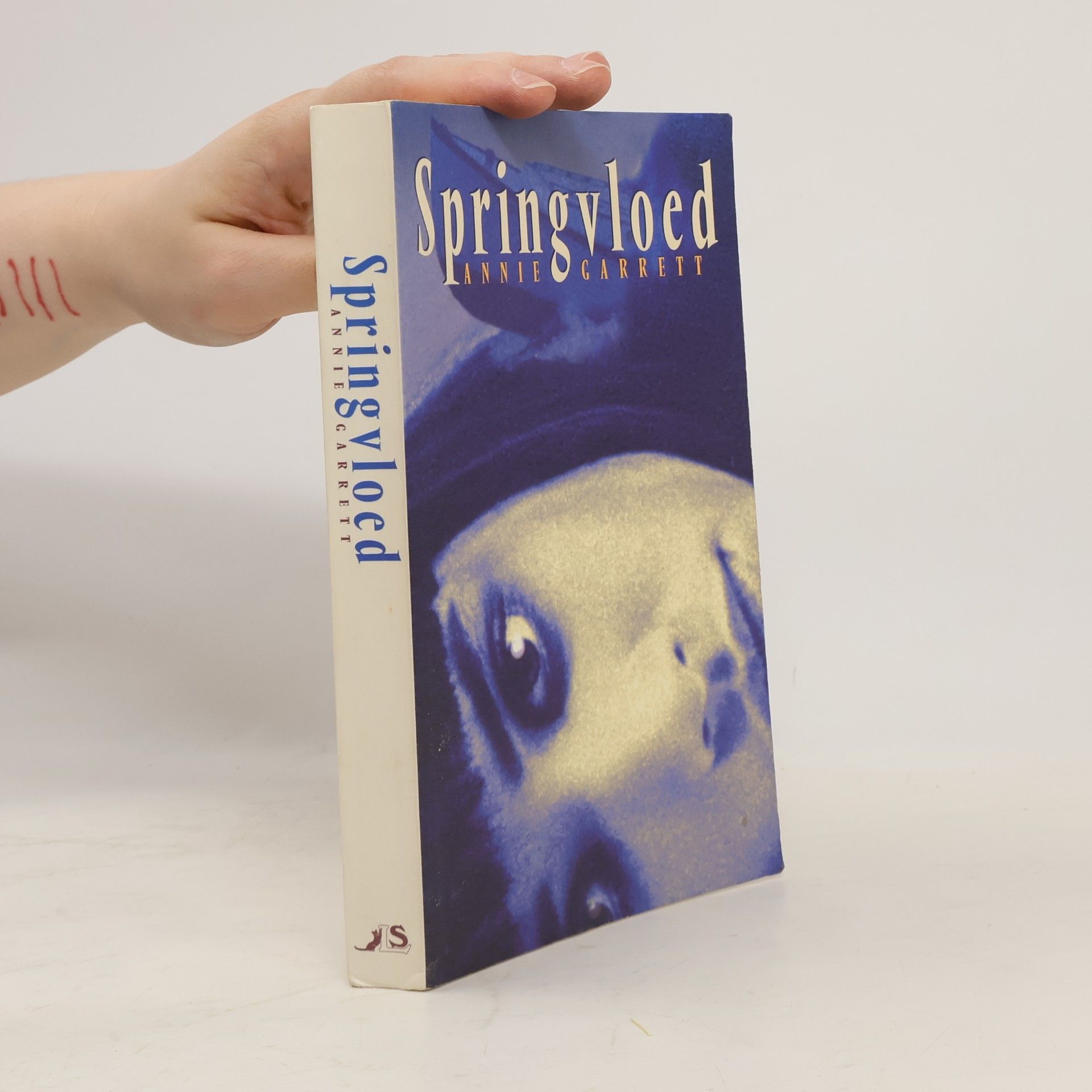 Springvloed
