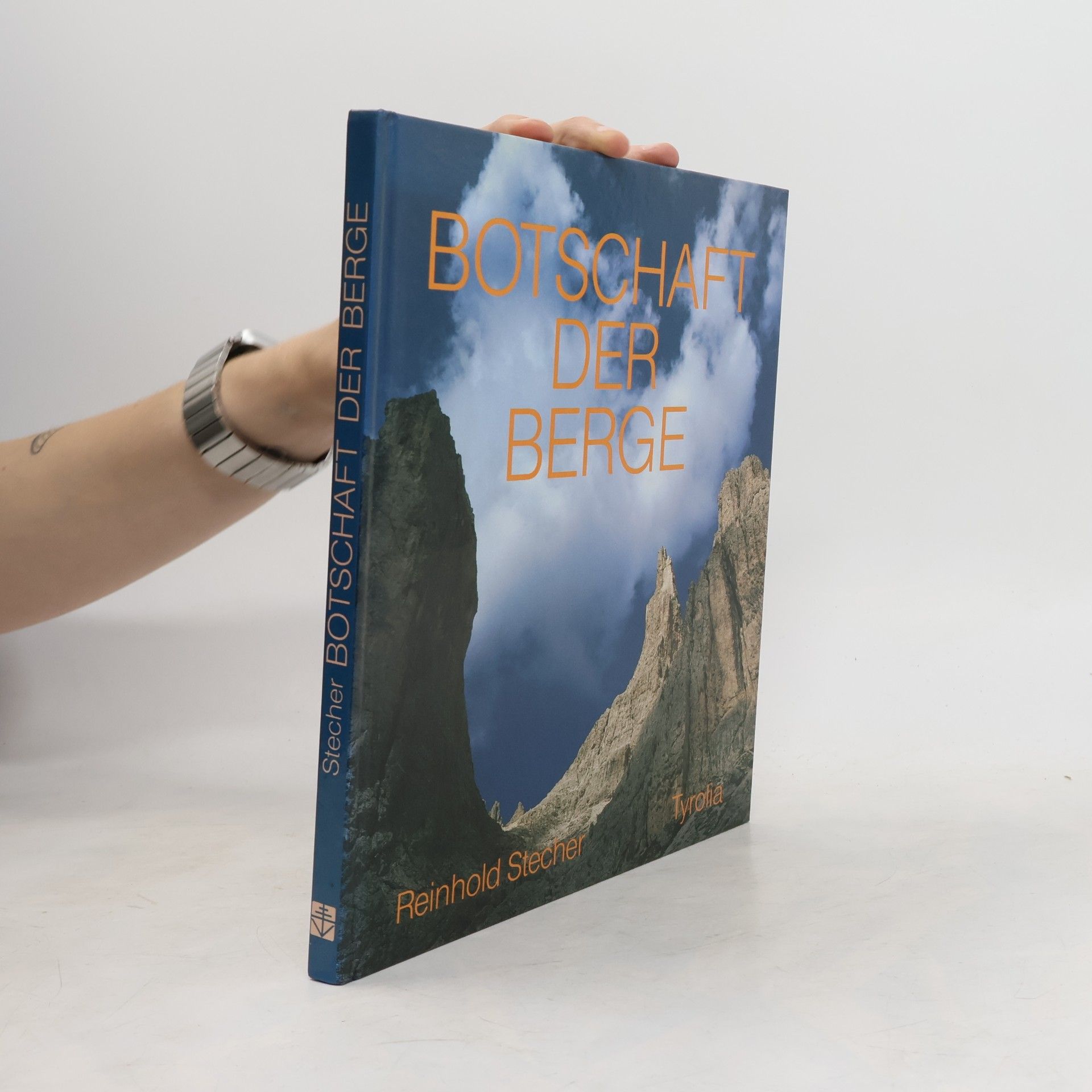 Reinhold Stecher Botschaft der Berge
