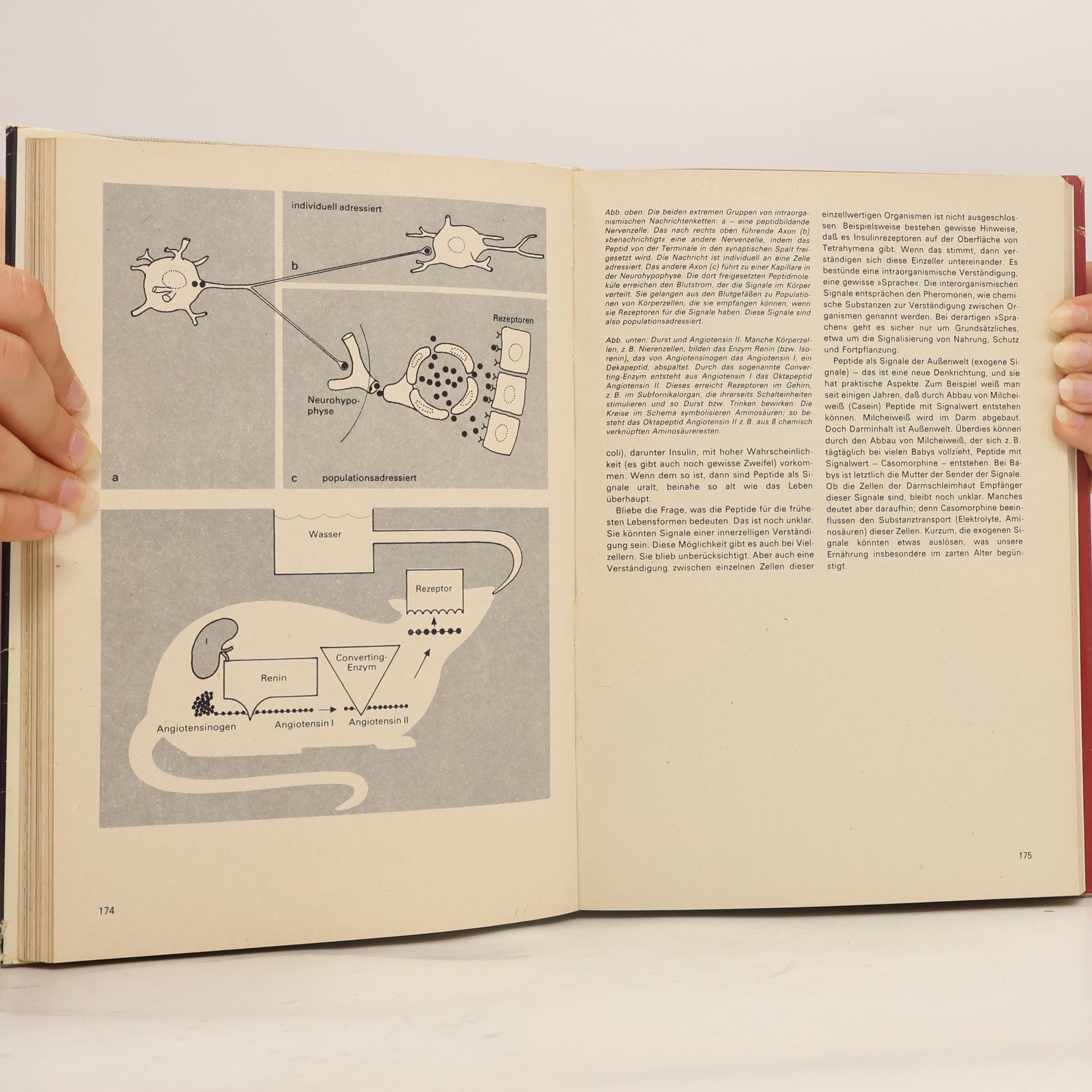 Collectif d'auteurs Urania Universum Band 32