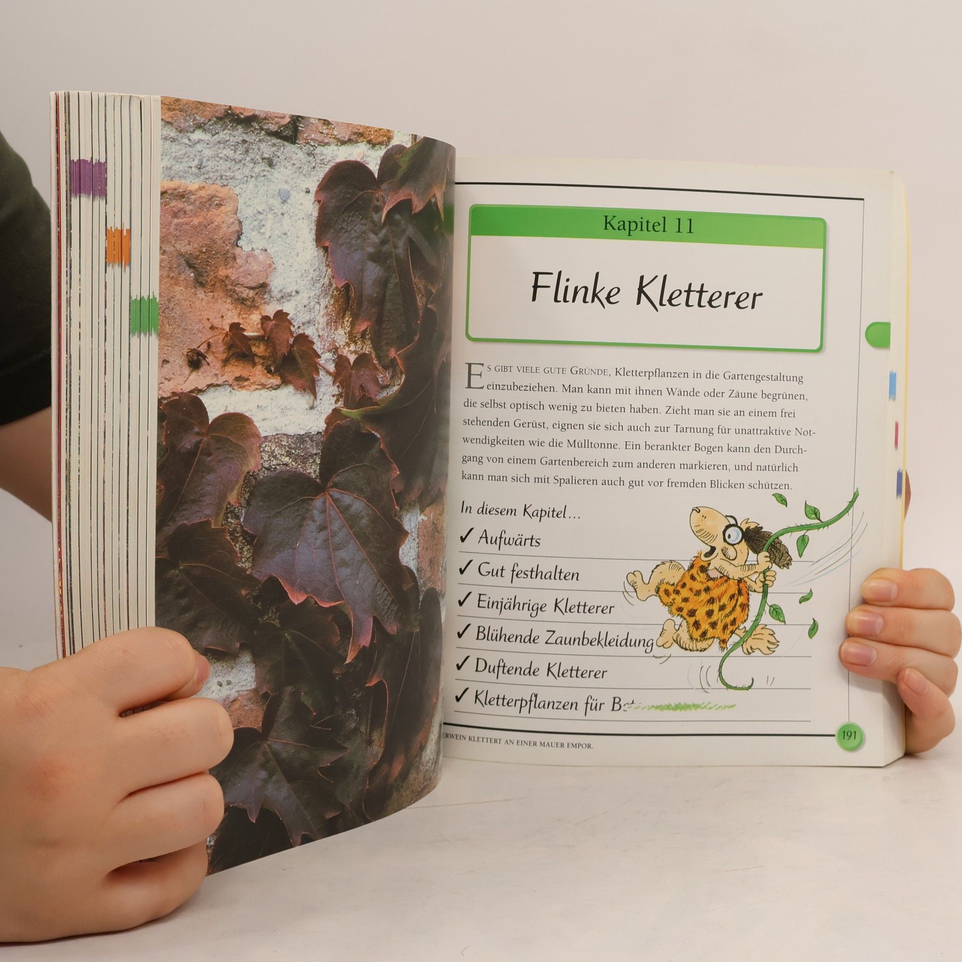 L. Patricia Kite Keep It Simple Series: Das Einsteiger-Handbuch Garten