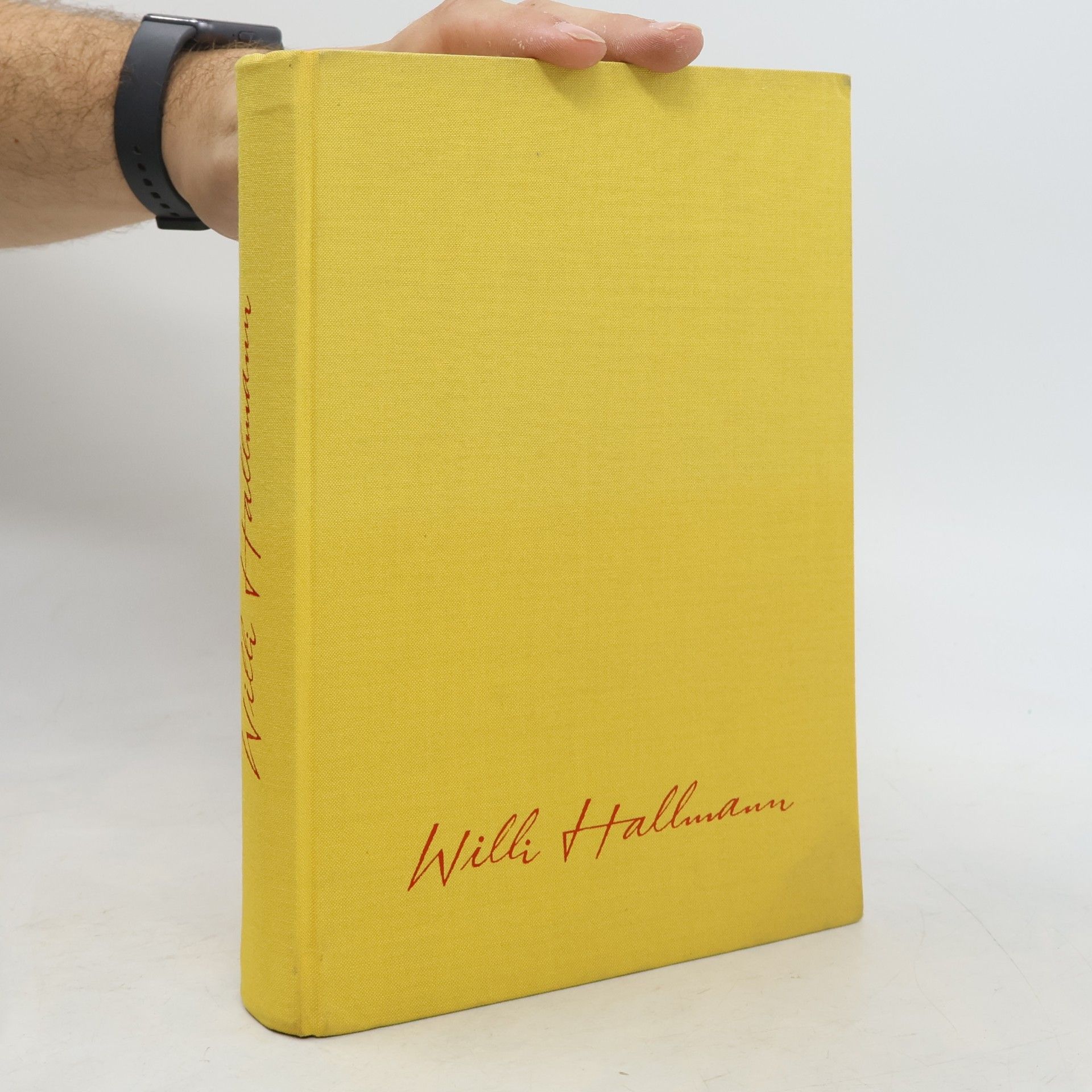 Autores varios Küchenchef Willi Hallmann koch denkt und spart für Sie