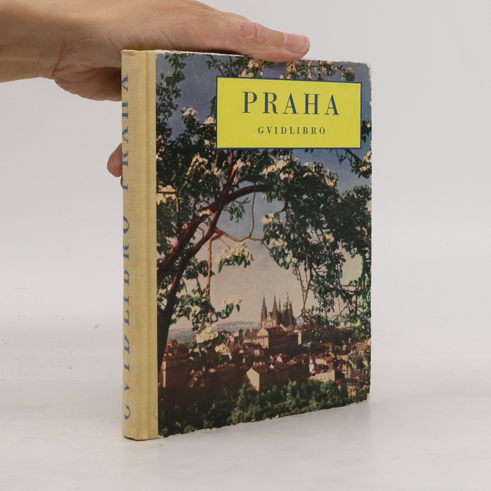 Jana Hofmeisterová Praha. Gvidlibro
