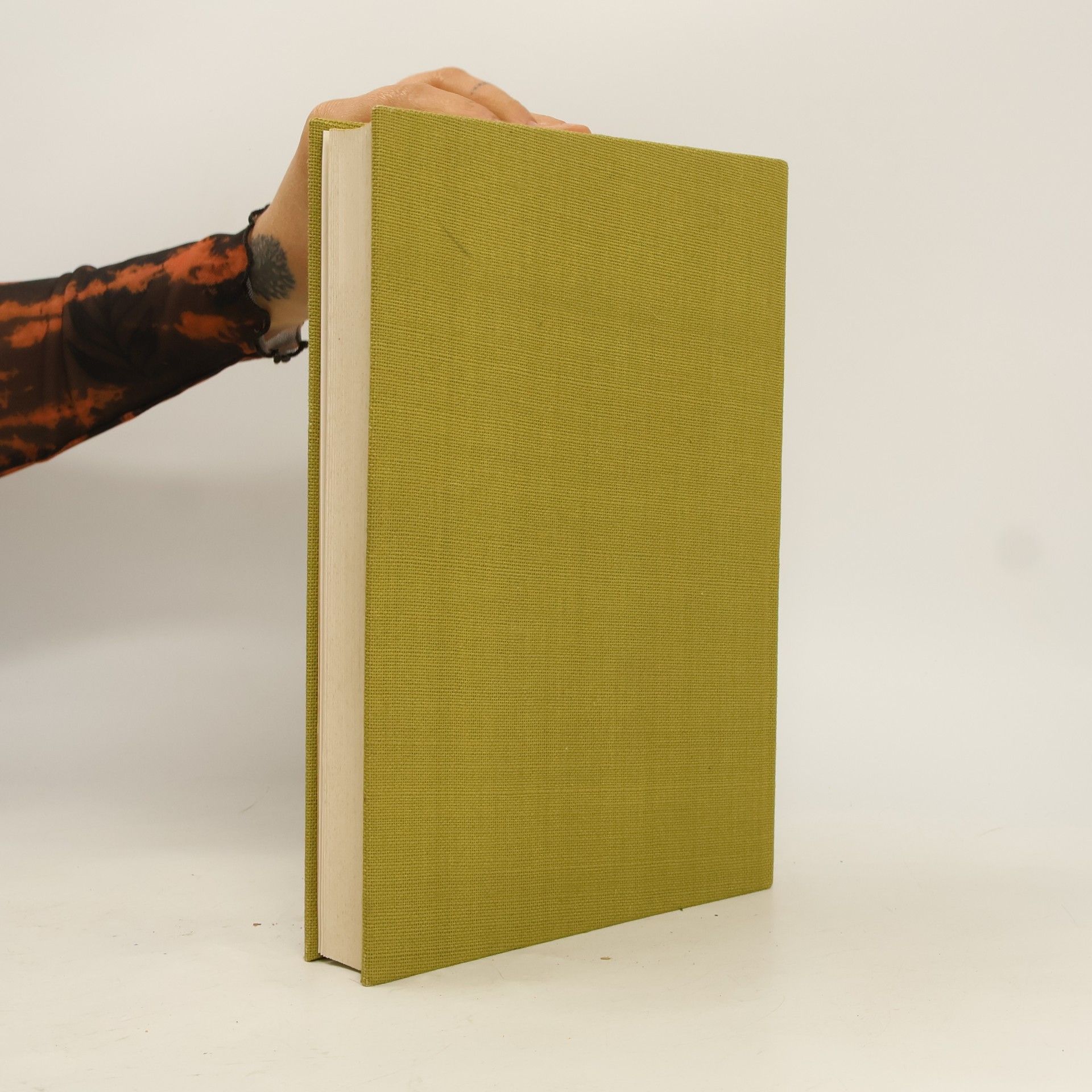Ruth Seydewitz Das Dresdener Galeriebuch