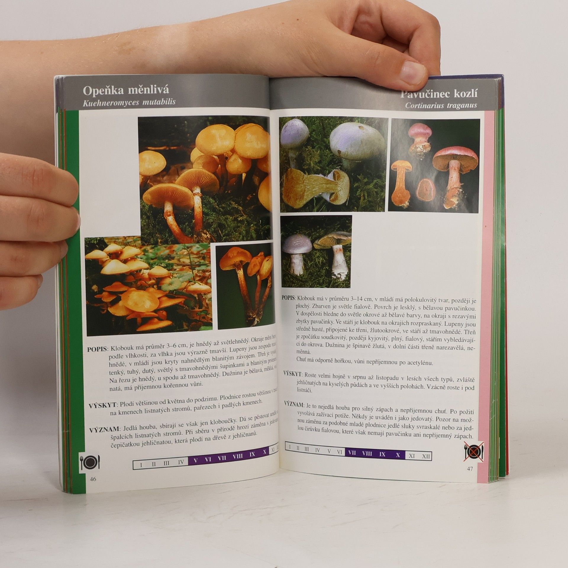 Various authors Atlas hub Atlas hub do kapsy