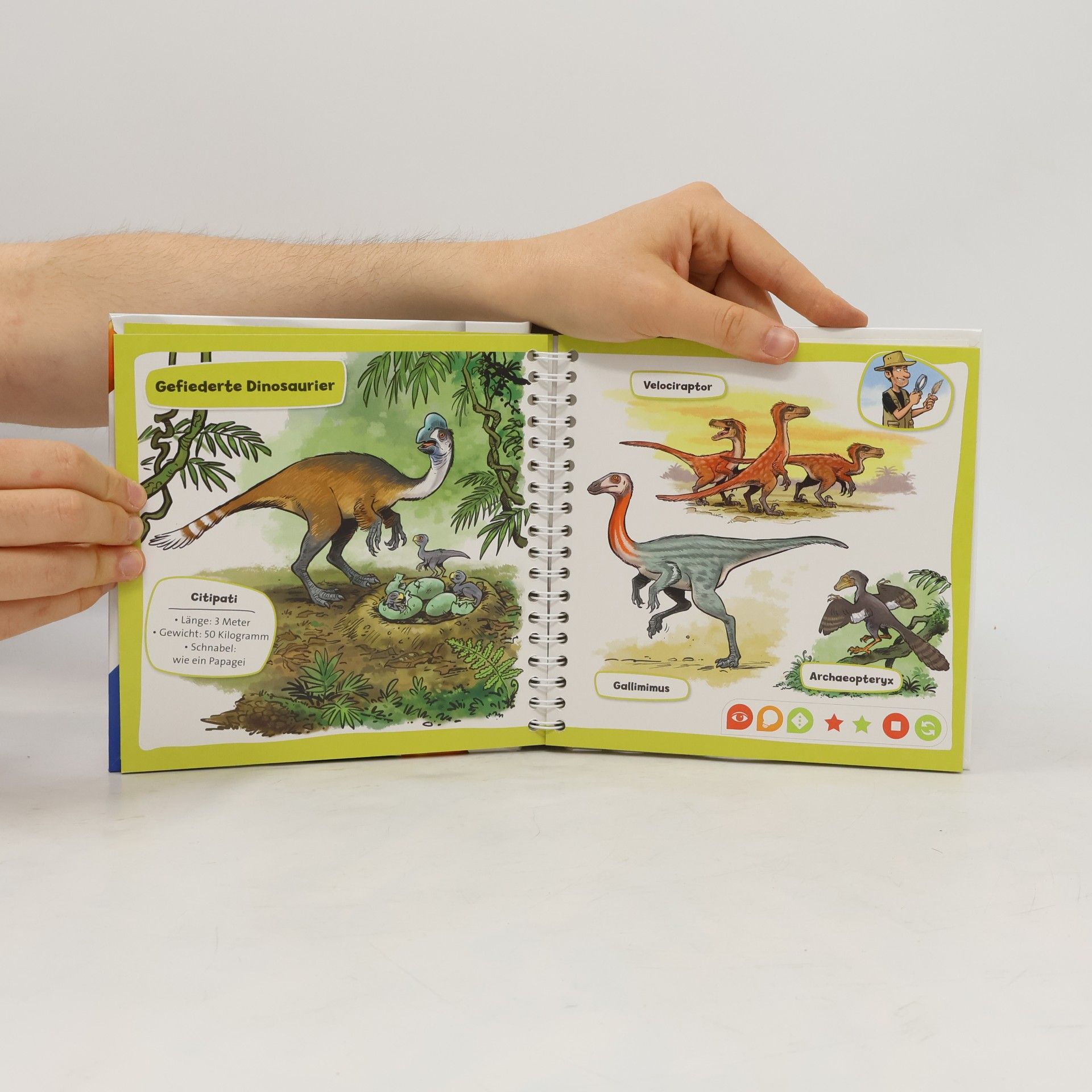 AA.VV. Pocket Wissen. Dinosaurier