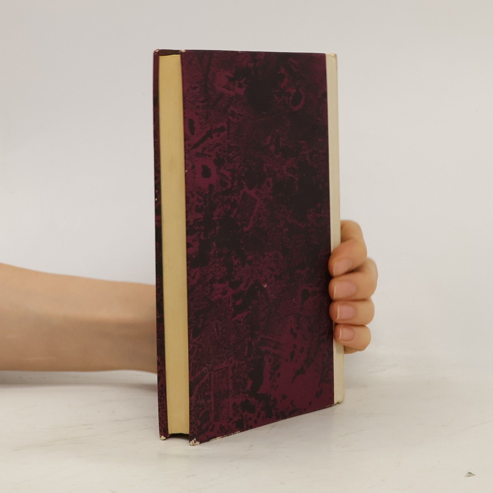 Carson McCullers Hodiny bez ručiček