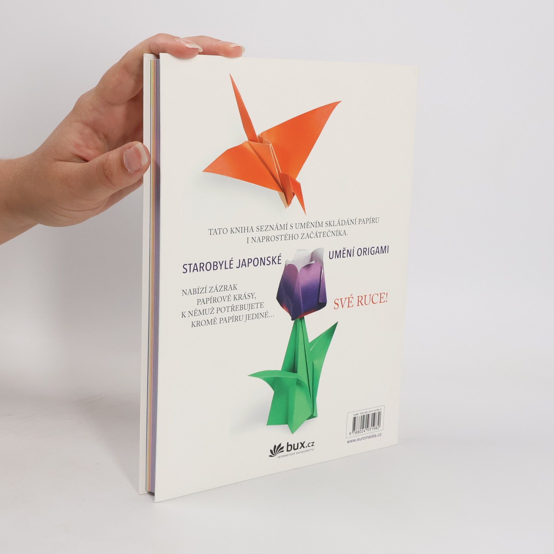 Francesco Decio Učíme se origami : jak se stát origamistou