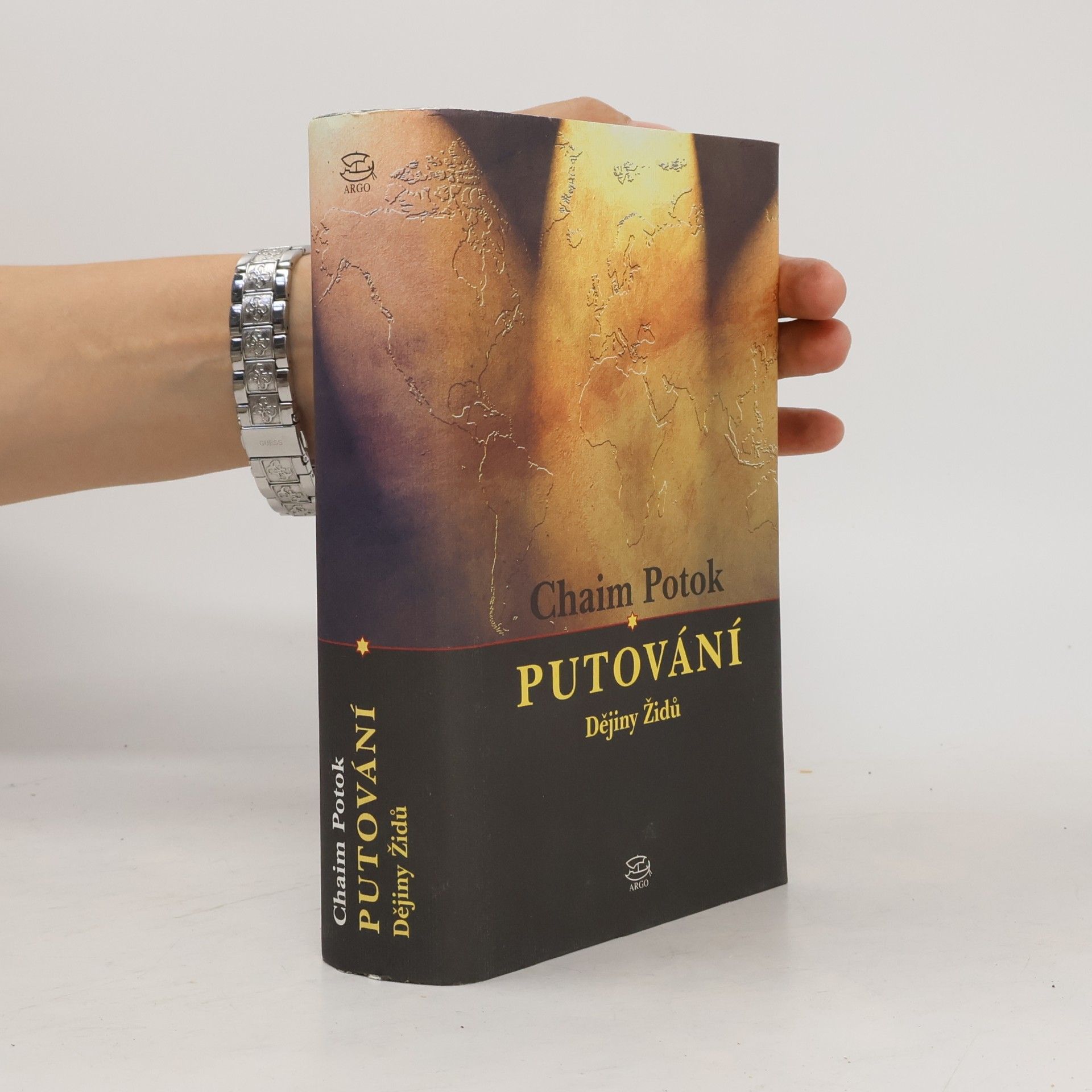 Chaim Potok Putování : dějiny Židů