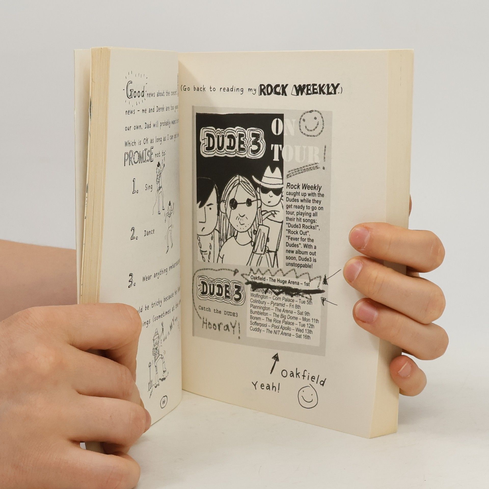 Liz Pichon The Brilliant World of Tom Gates