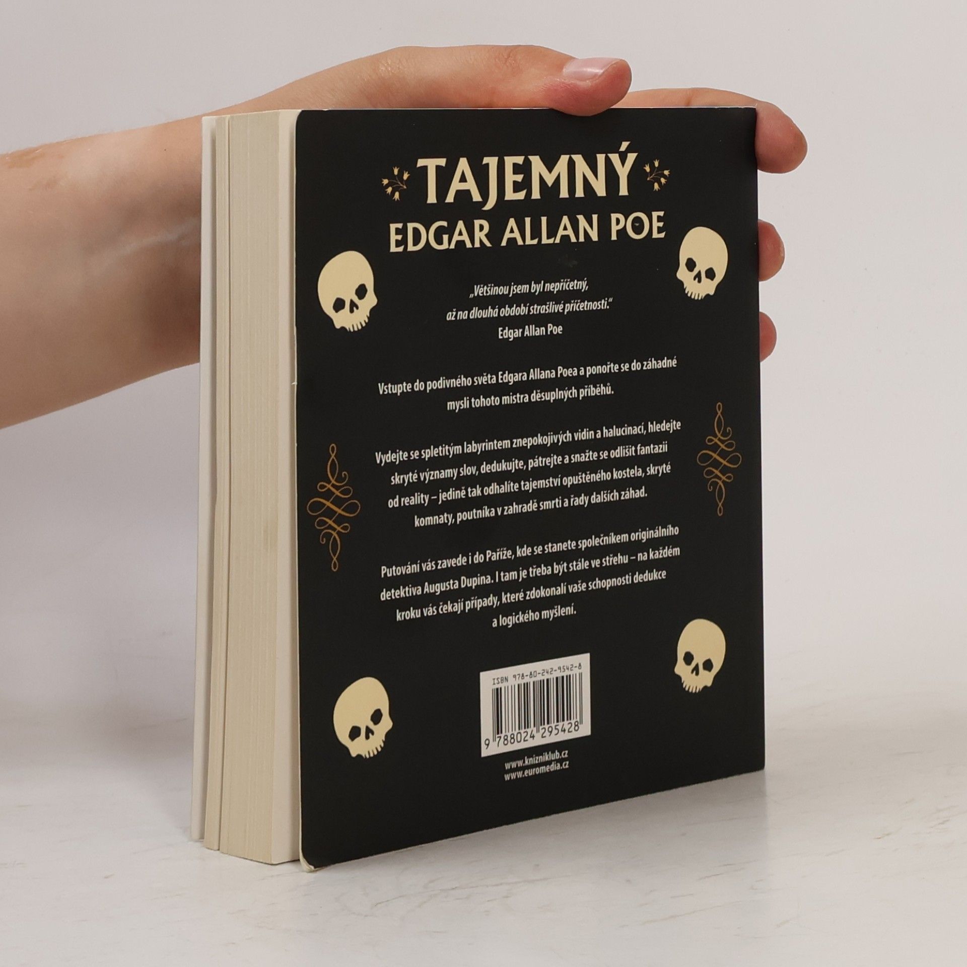 Gareth Moore Tajemný Edgar Allan Poe: sbírka hádanek