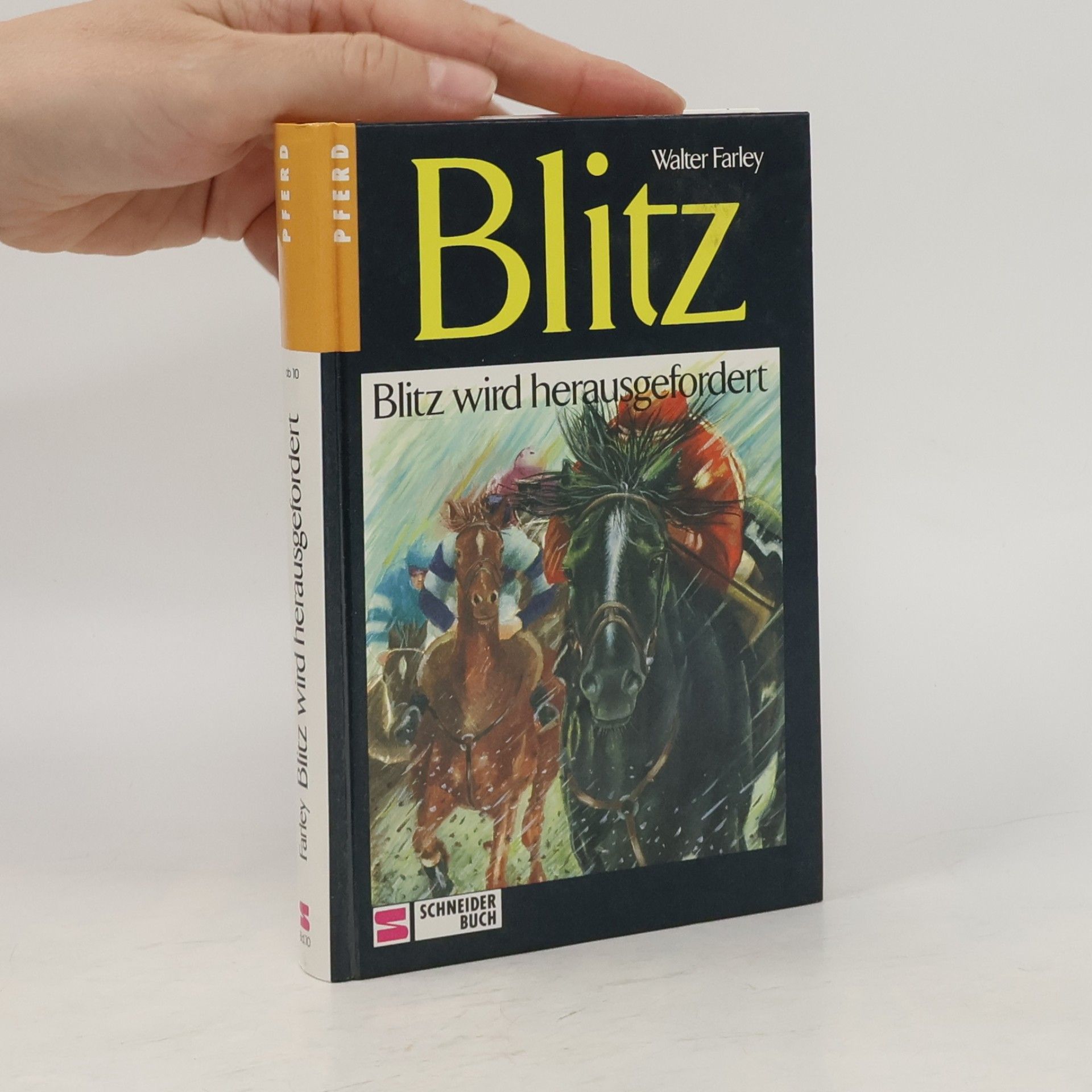 Walter Farley Blitz. Blitz wird herausgefordert
