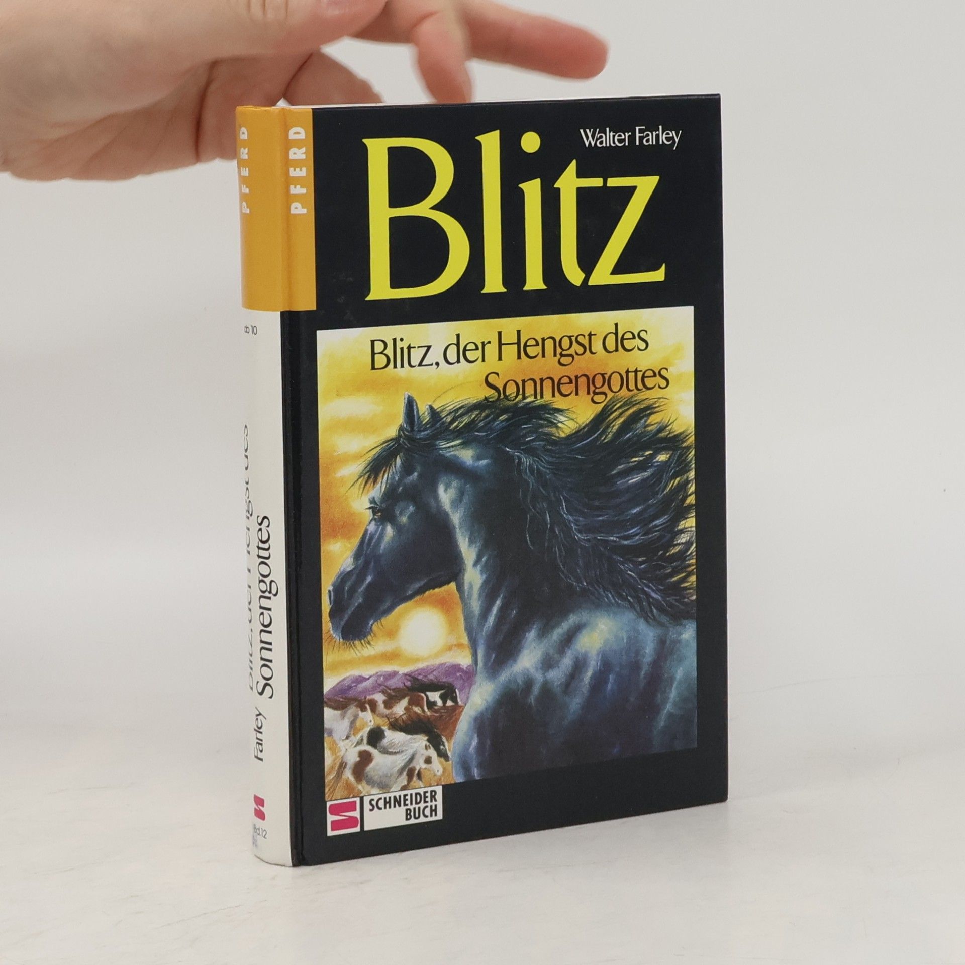 Walter Farley Blitz, der Hengst des Sonnengottes