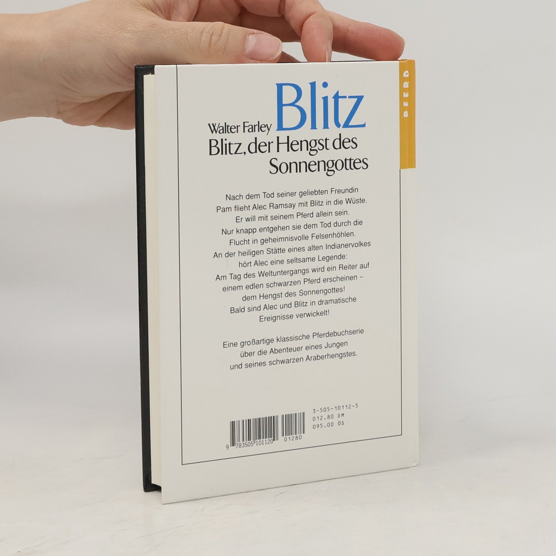 Walter Farley Blitz, der Hengst des Sonnengottes