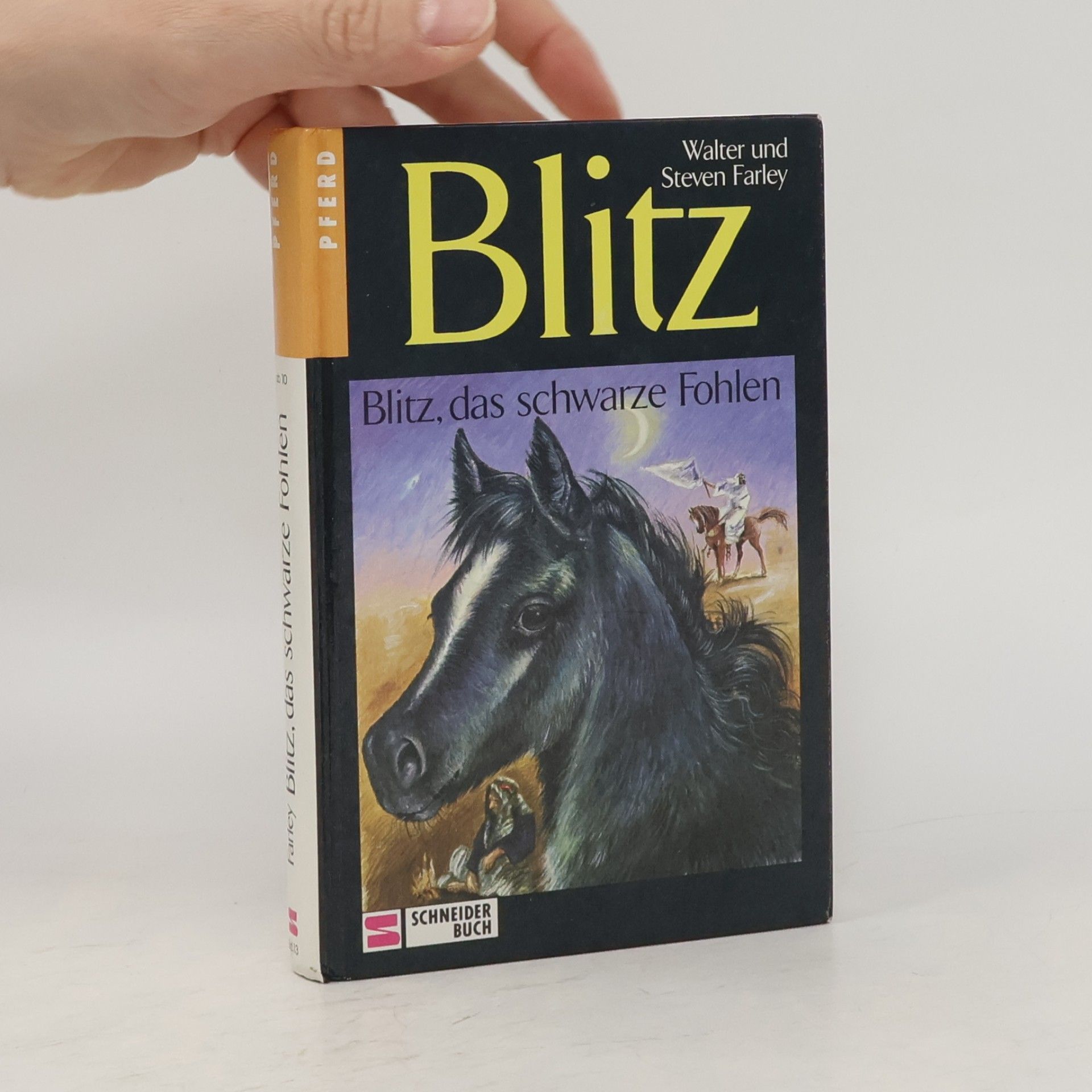 Blitz, das schwarze Fohlen