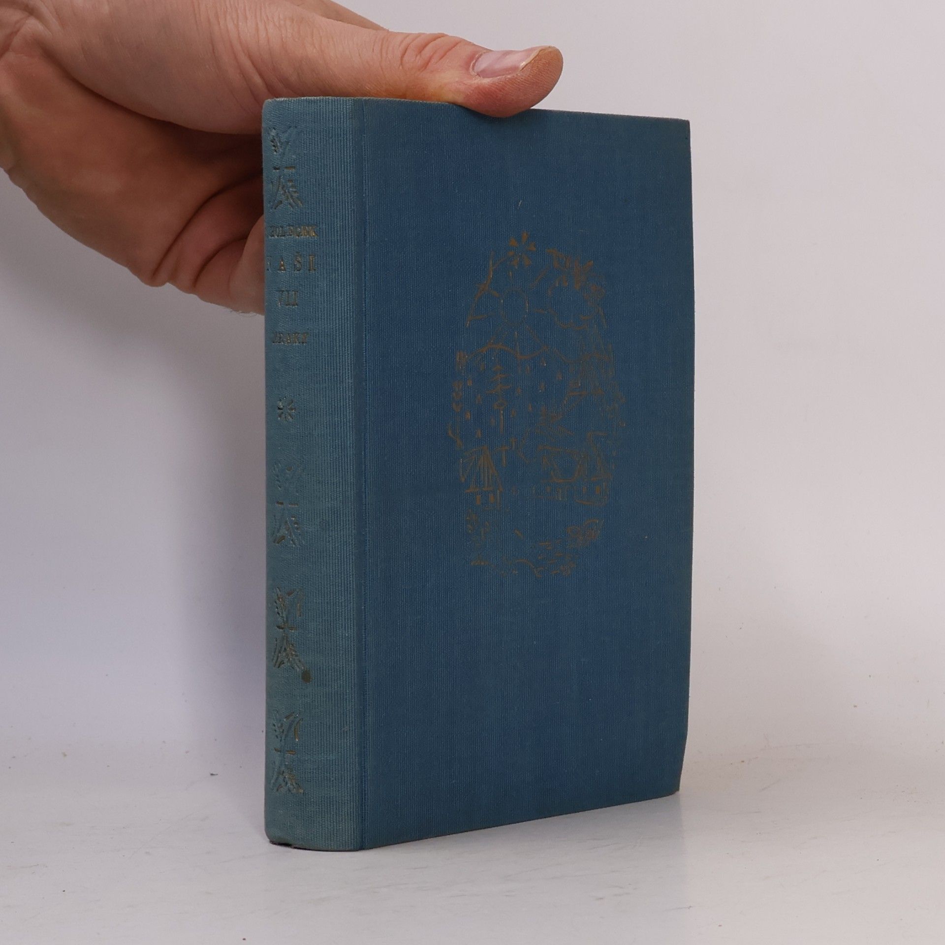 Josef Holeček Naši VII: Mraky