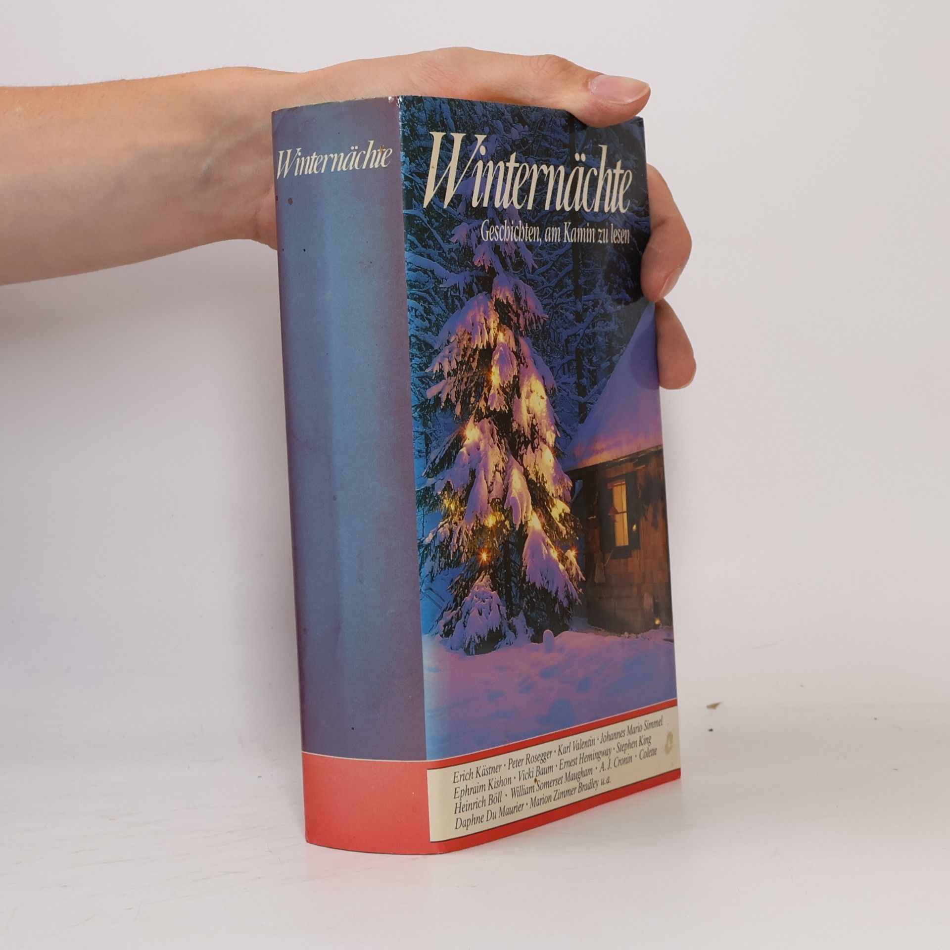 Autorenkollektiv Winternächte. Geschichten, am Kamin zu lesen