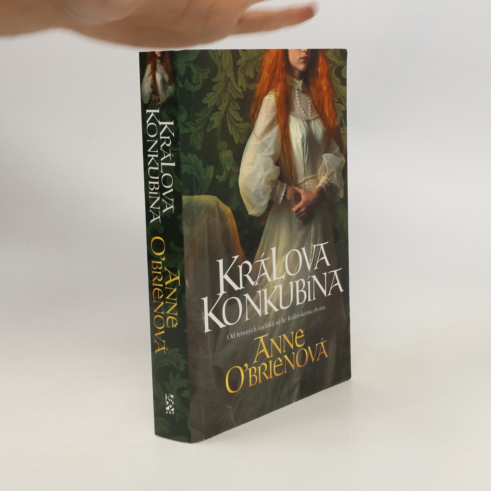 Anne O. Brien Králova konkubína