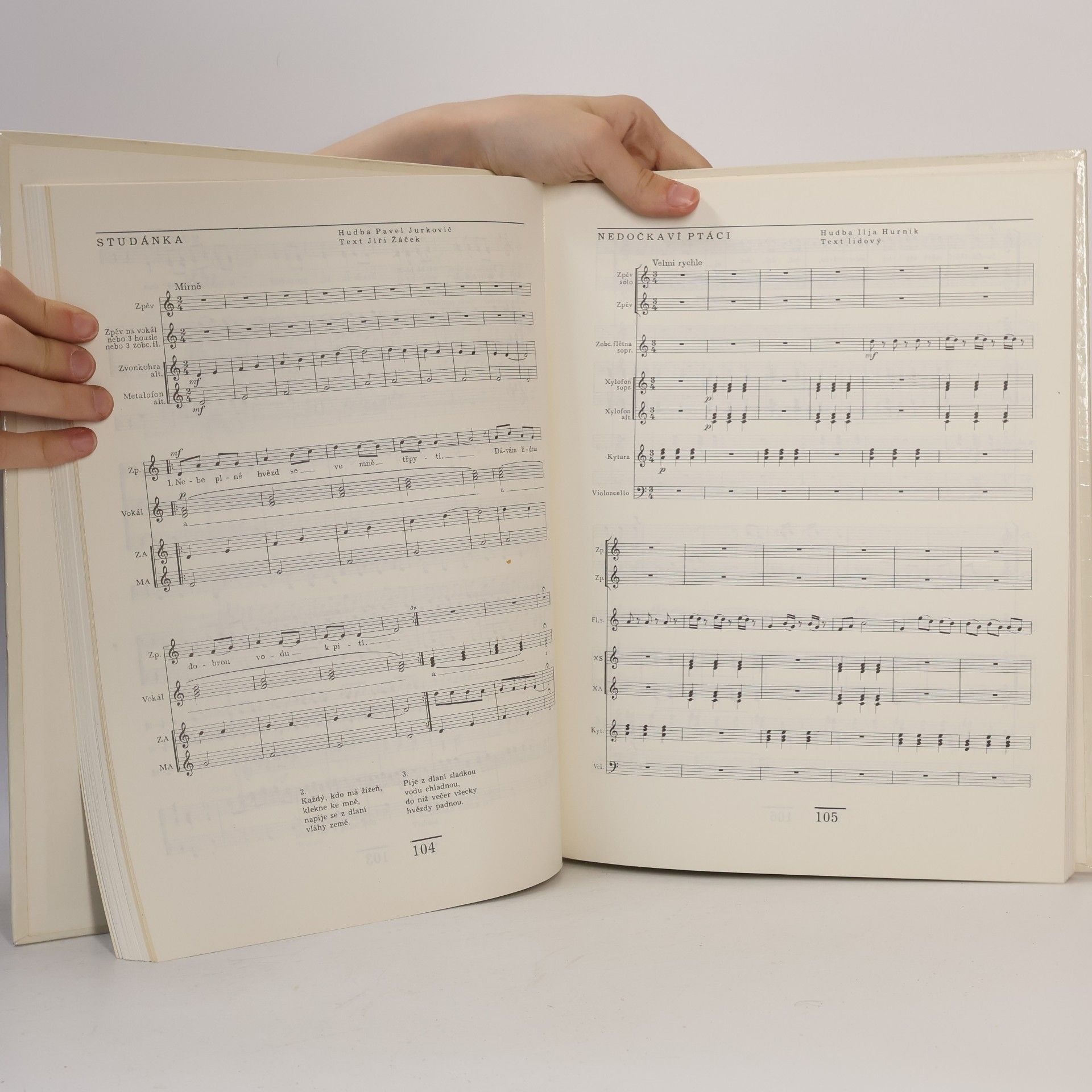 Pavel Jurkovič Instrumentální soubor na základní škole