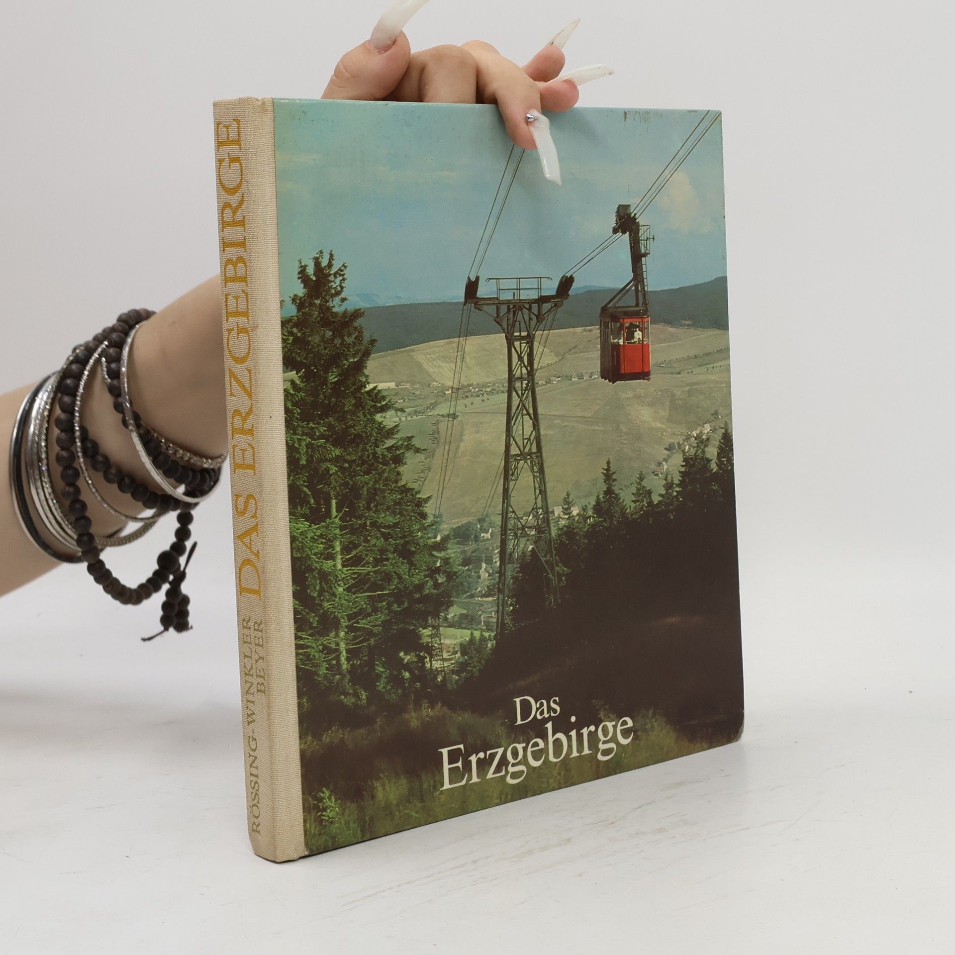 Collectif d'auteurs Das Erzgebirge