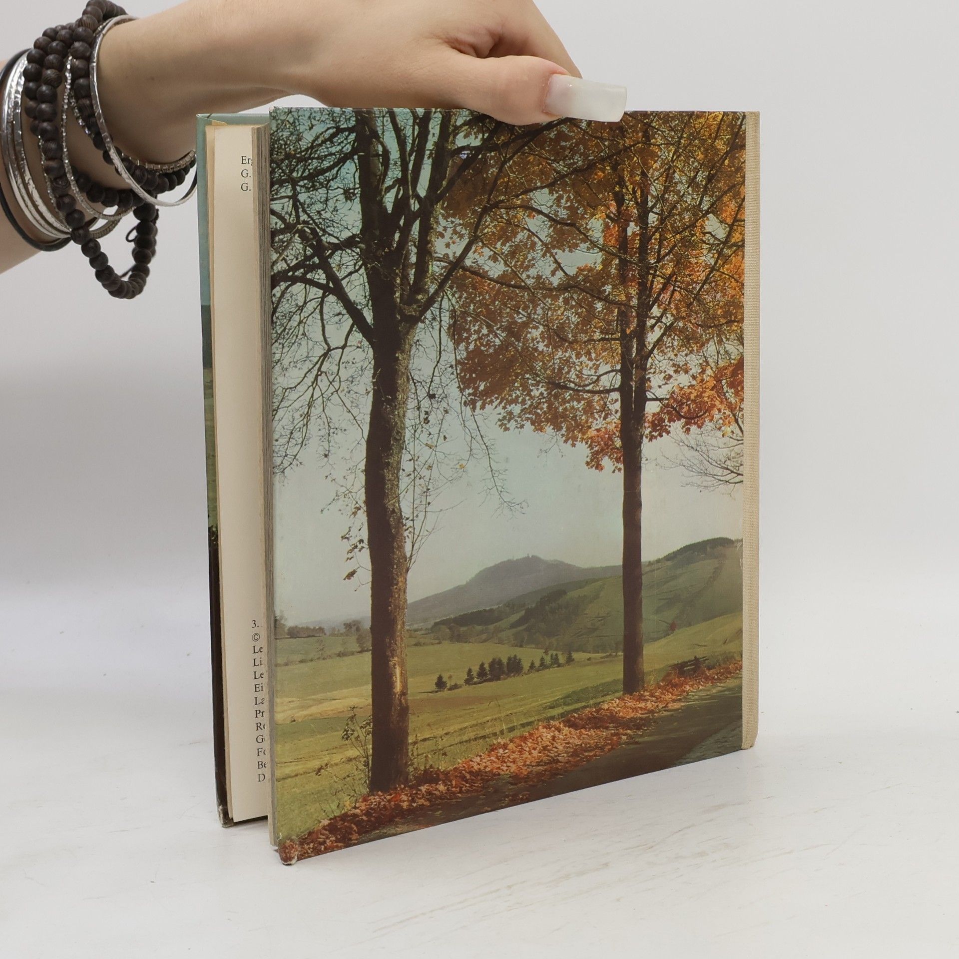 Collectif d'auteurs Das Erzgebirge