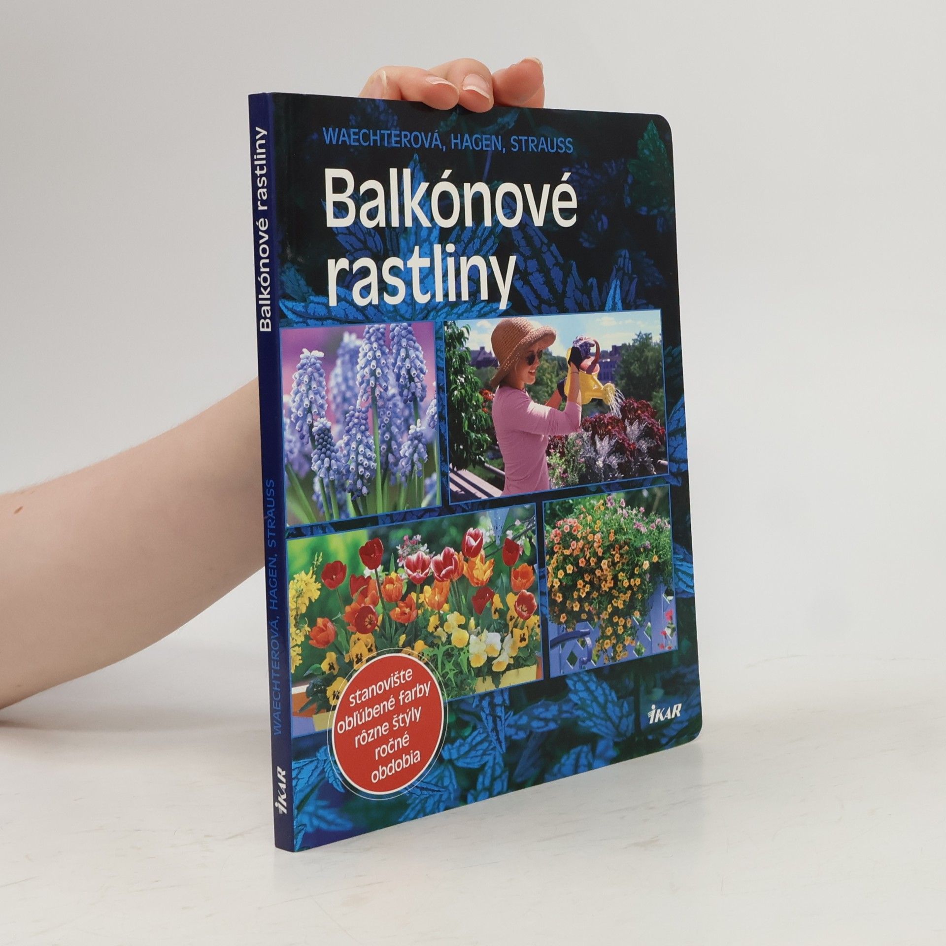 Dorothée Waechter Balkónové rastliny