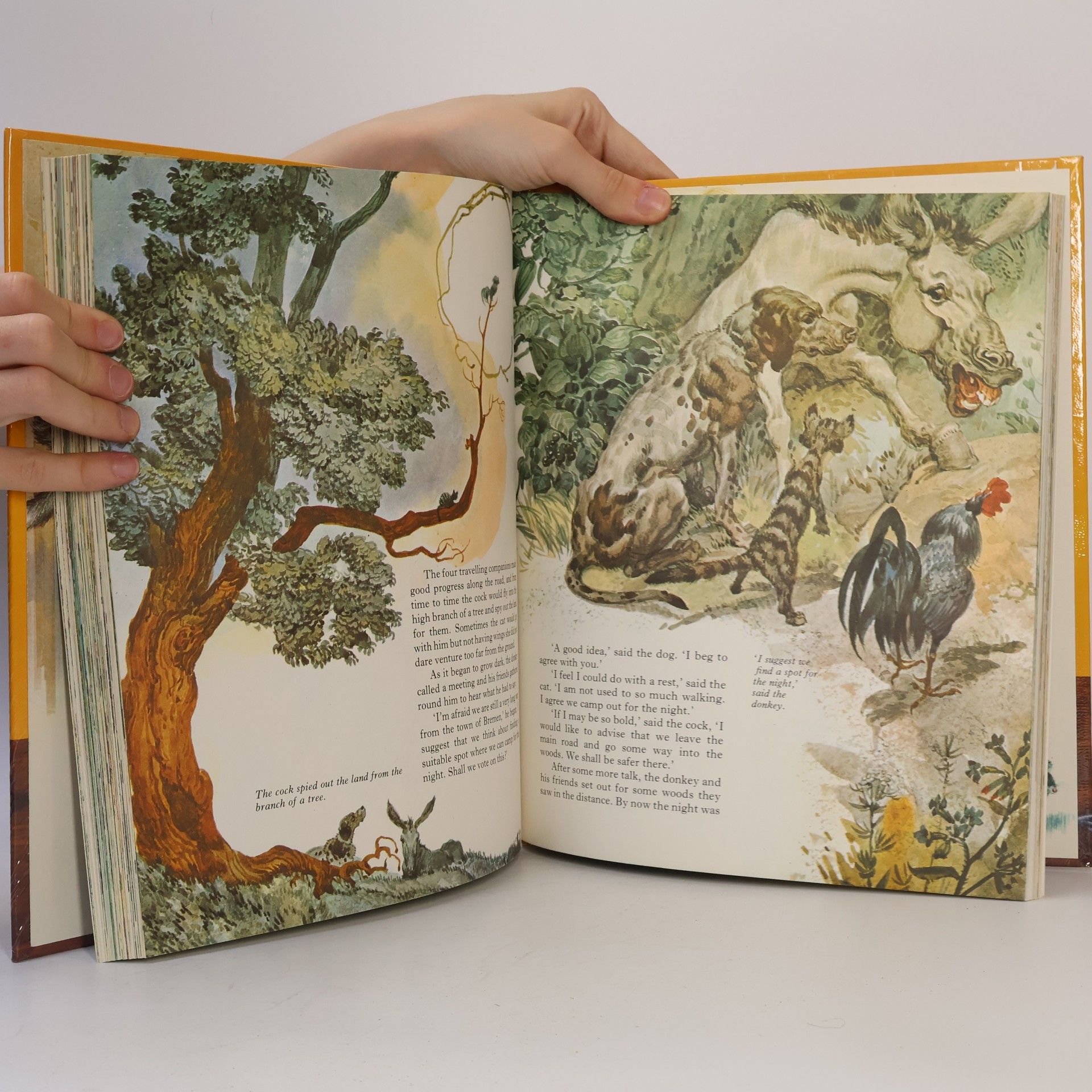Jane Carruth Once Upon a Time Storybook