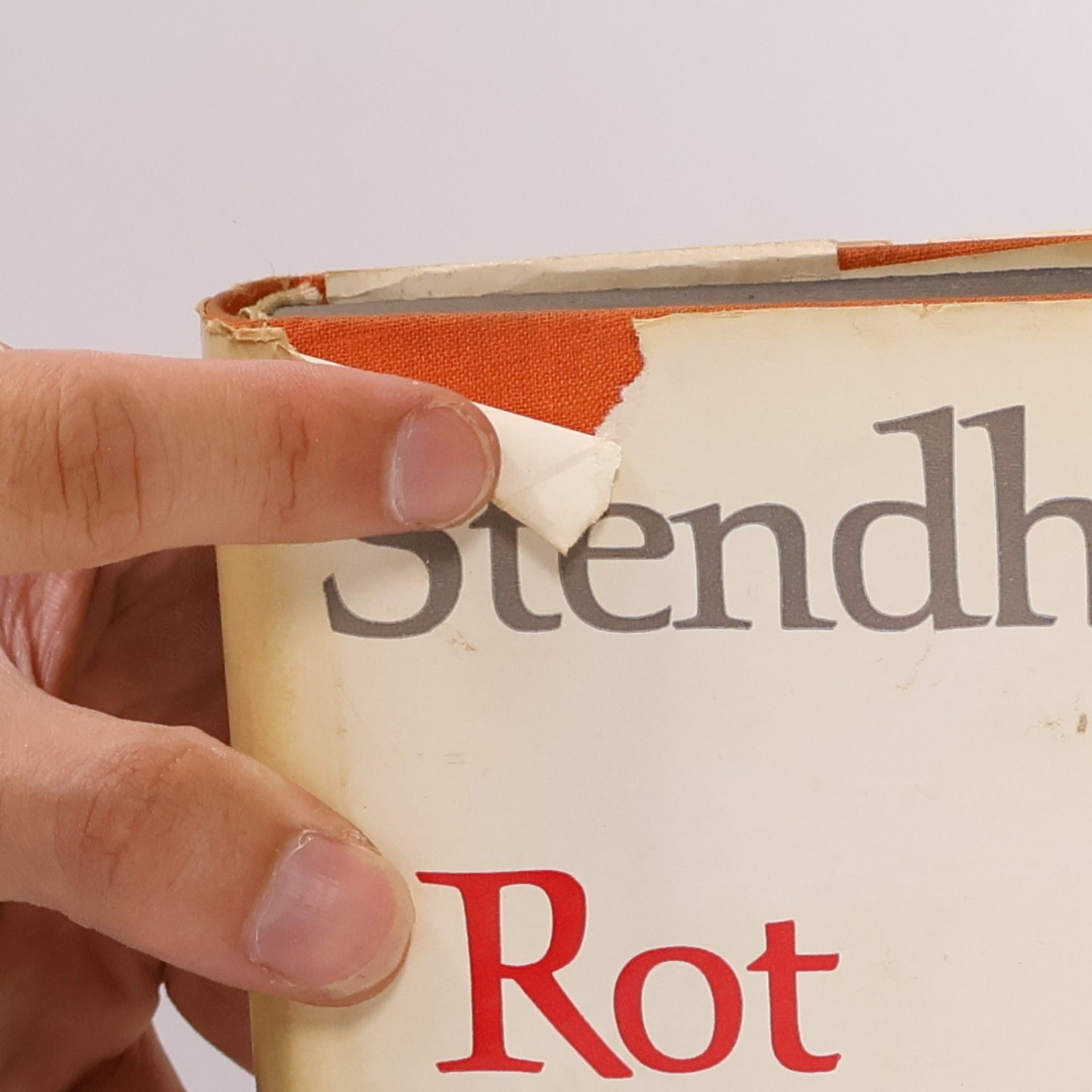 Stendhal Rot und Schwarz