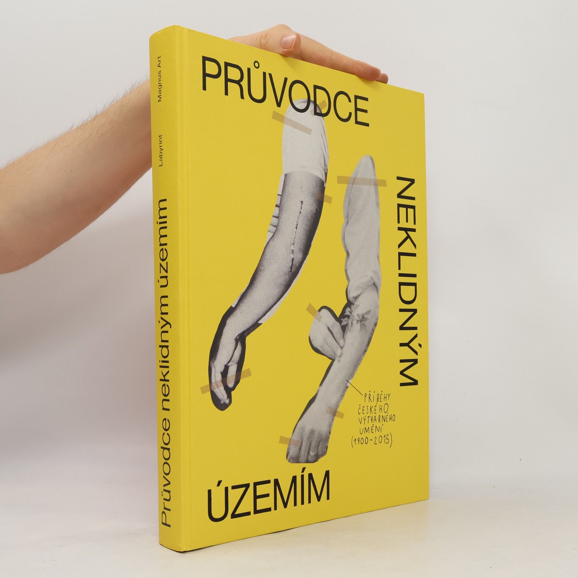 Ondřej Fuczik Průvodce neklidným územím. Příběhy českého výtvarného umění (1900-2015)