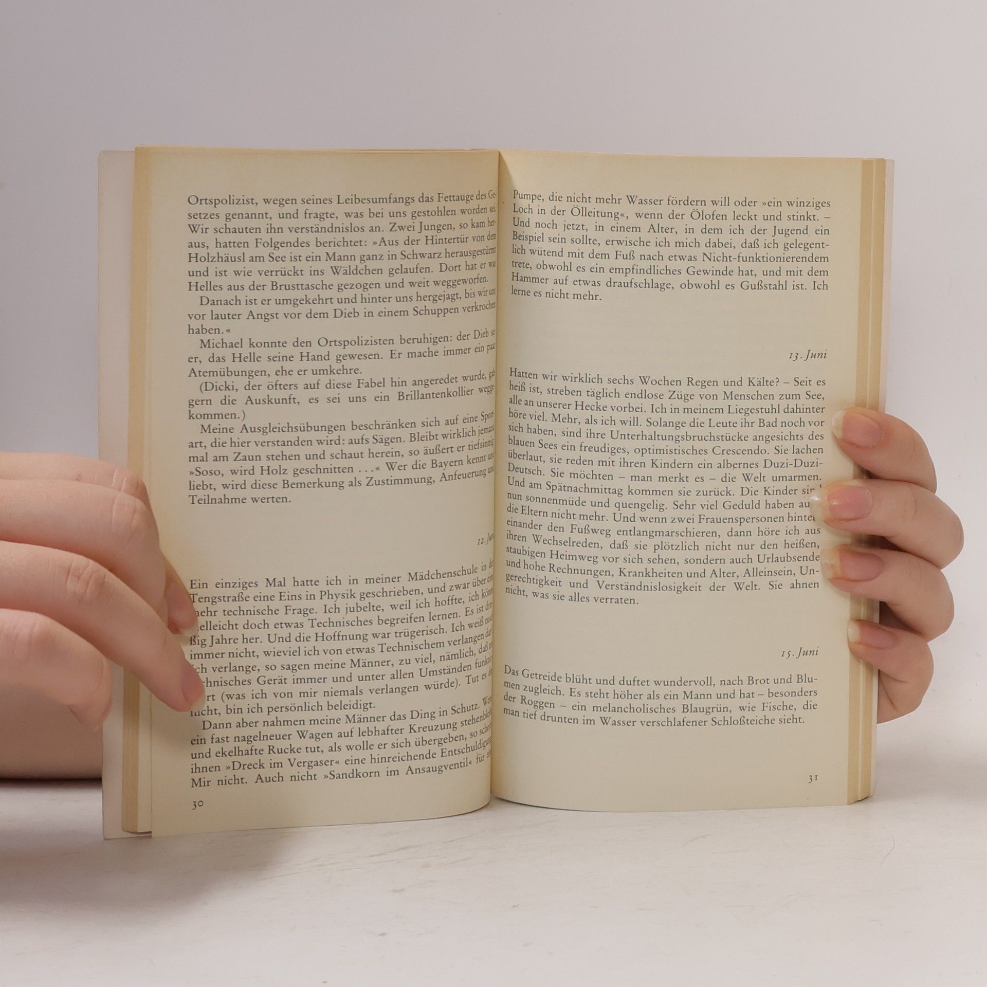 Isabella Nadolny Seehamer Tagebuch