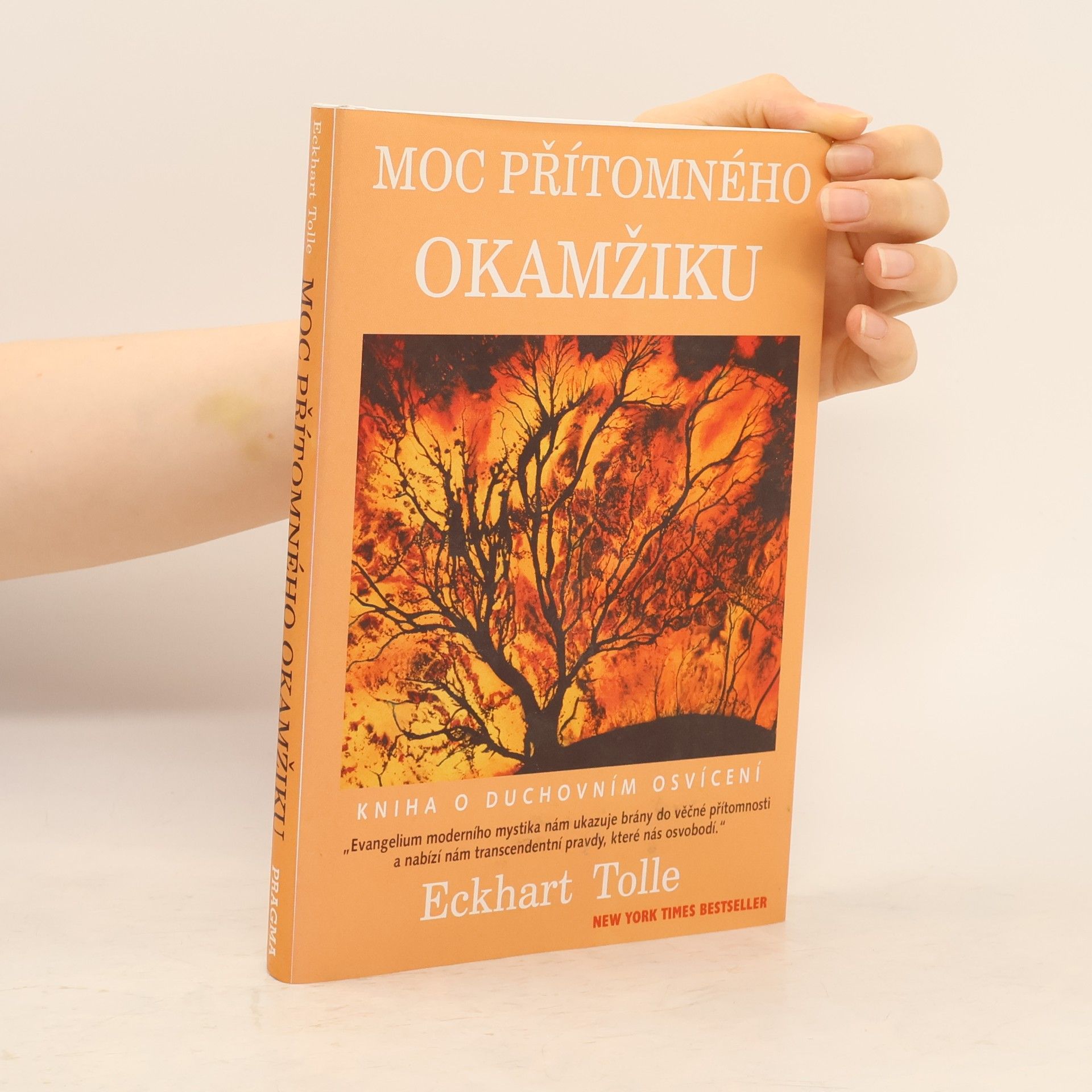 Eckhart Tolle Moc přítomného okamžiku