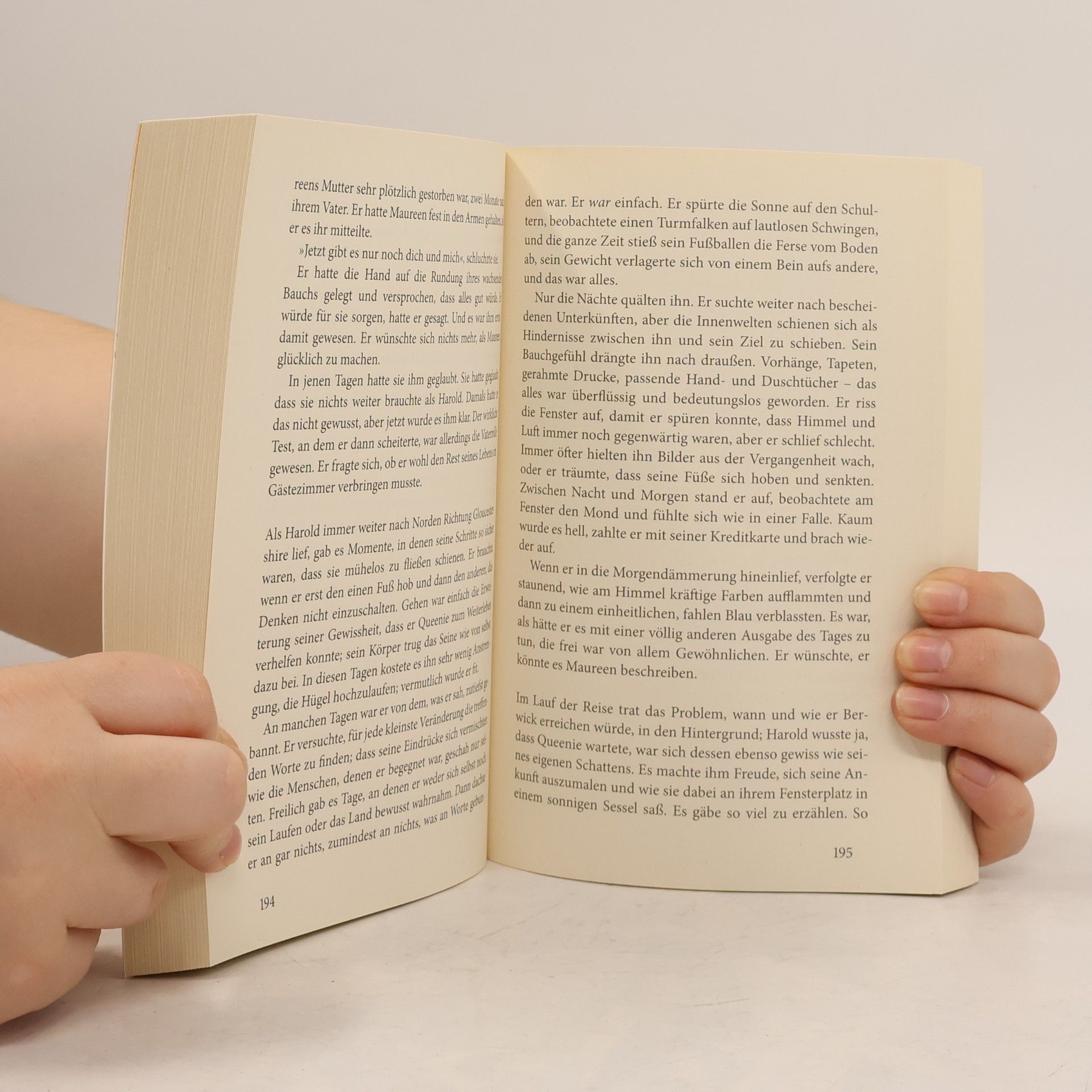 Rachel Joyce Die unwahrscheinliche Pilgerreise des Harold Fry