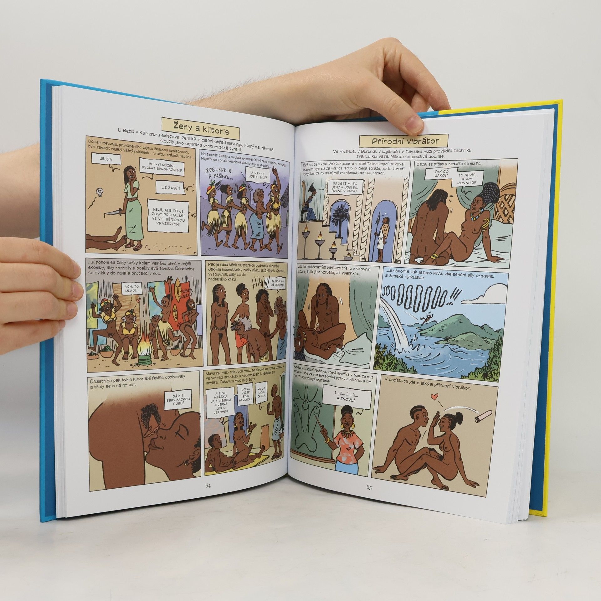 Philippe Brenot Sex komiks : intimní historie Afriky a Orientu