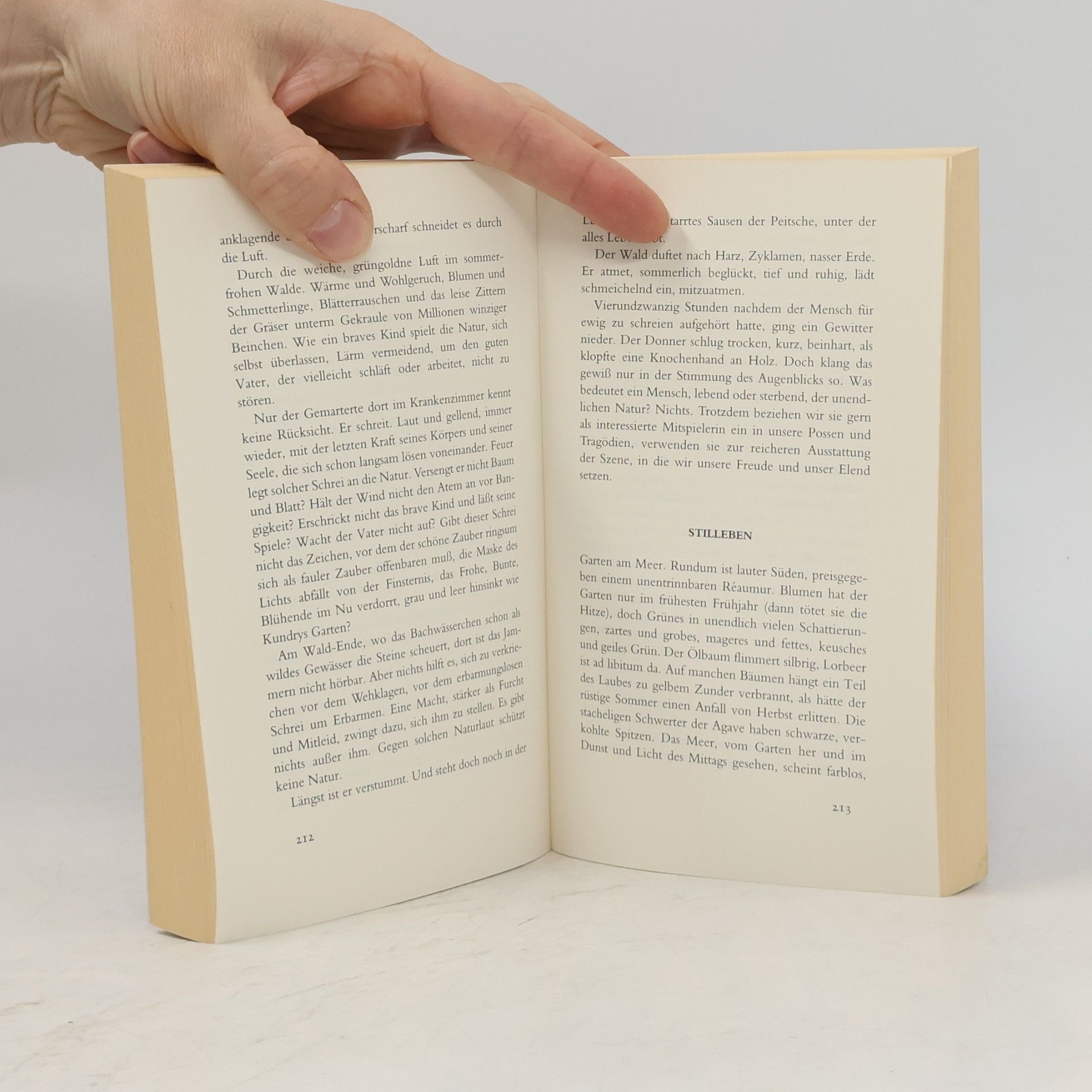 Alfred Polgar Das grosse Lesebuch