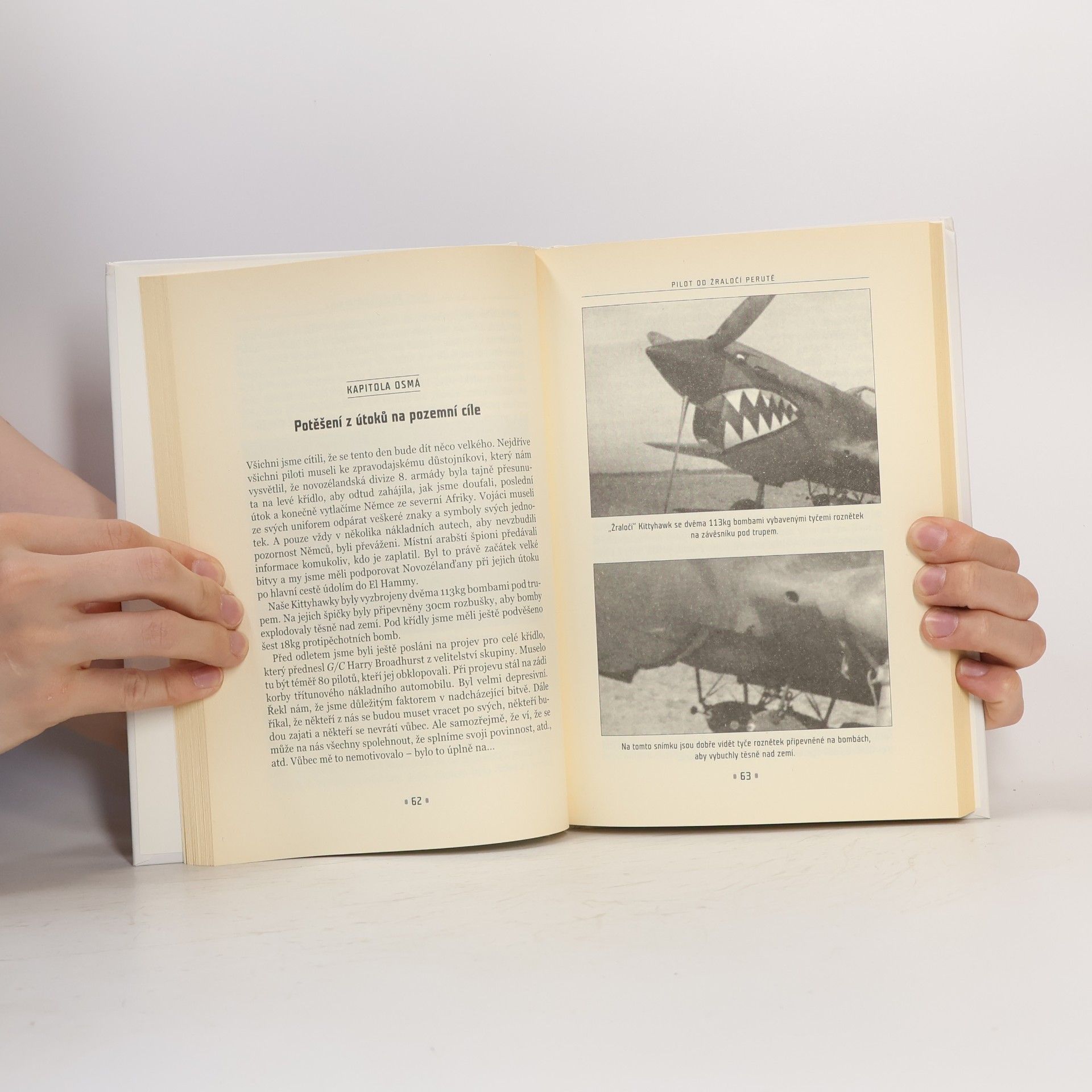 Bert Horden Pilot od žraločí perutě