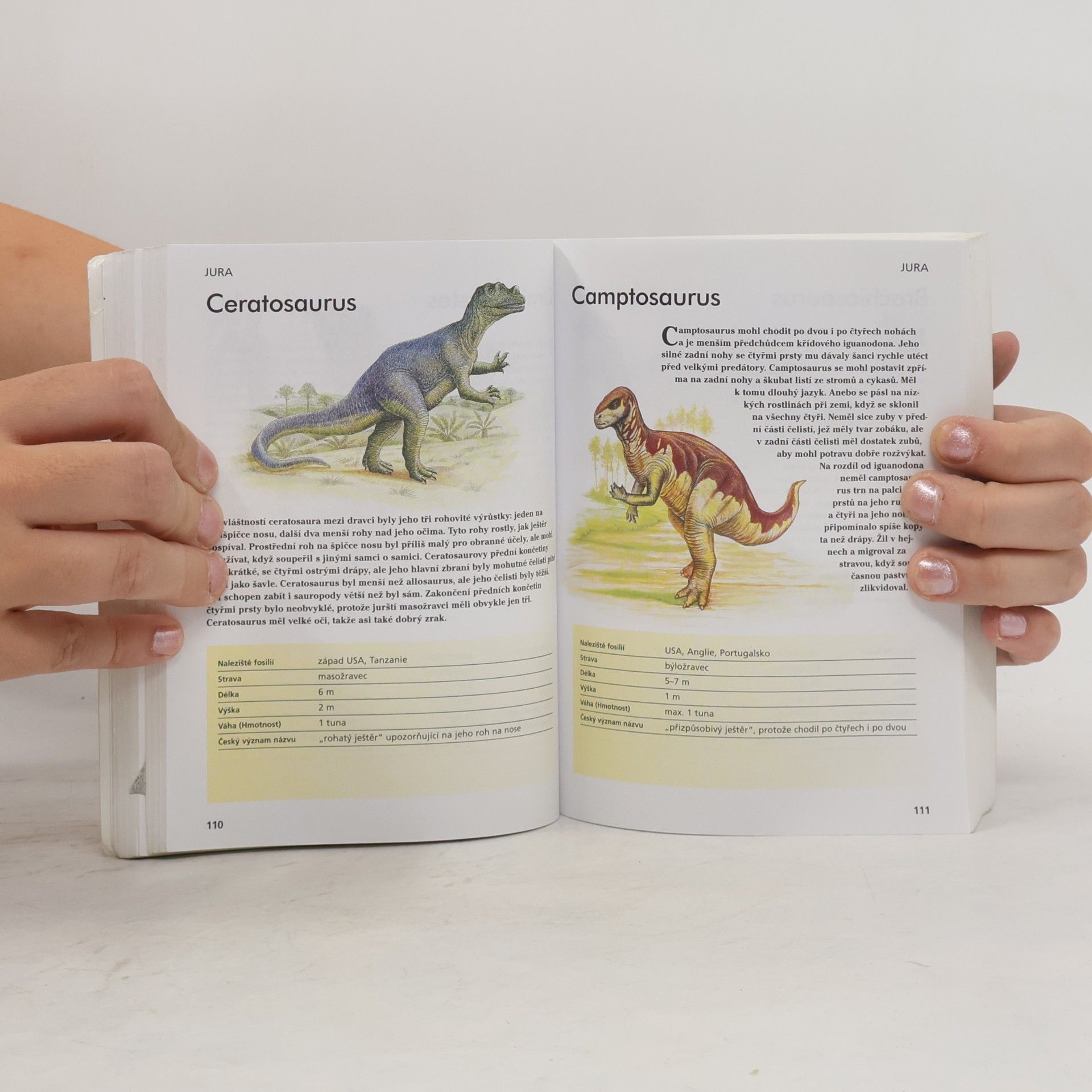 Gerrie McCall Dinosauři. Od Alosaura k Tyranosaurovi